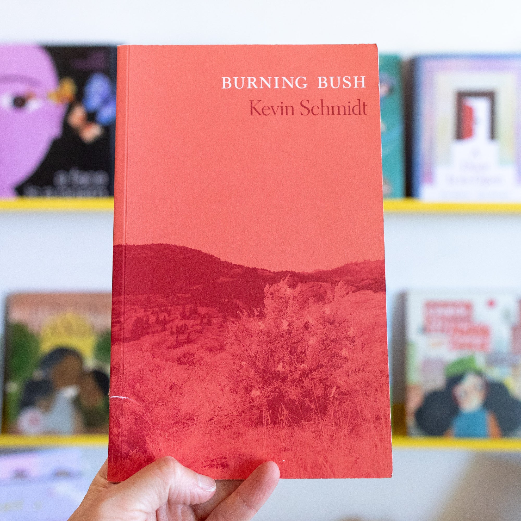 USED BOOK: Burning Bush by Kevin Schmidt