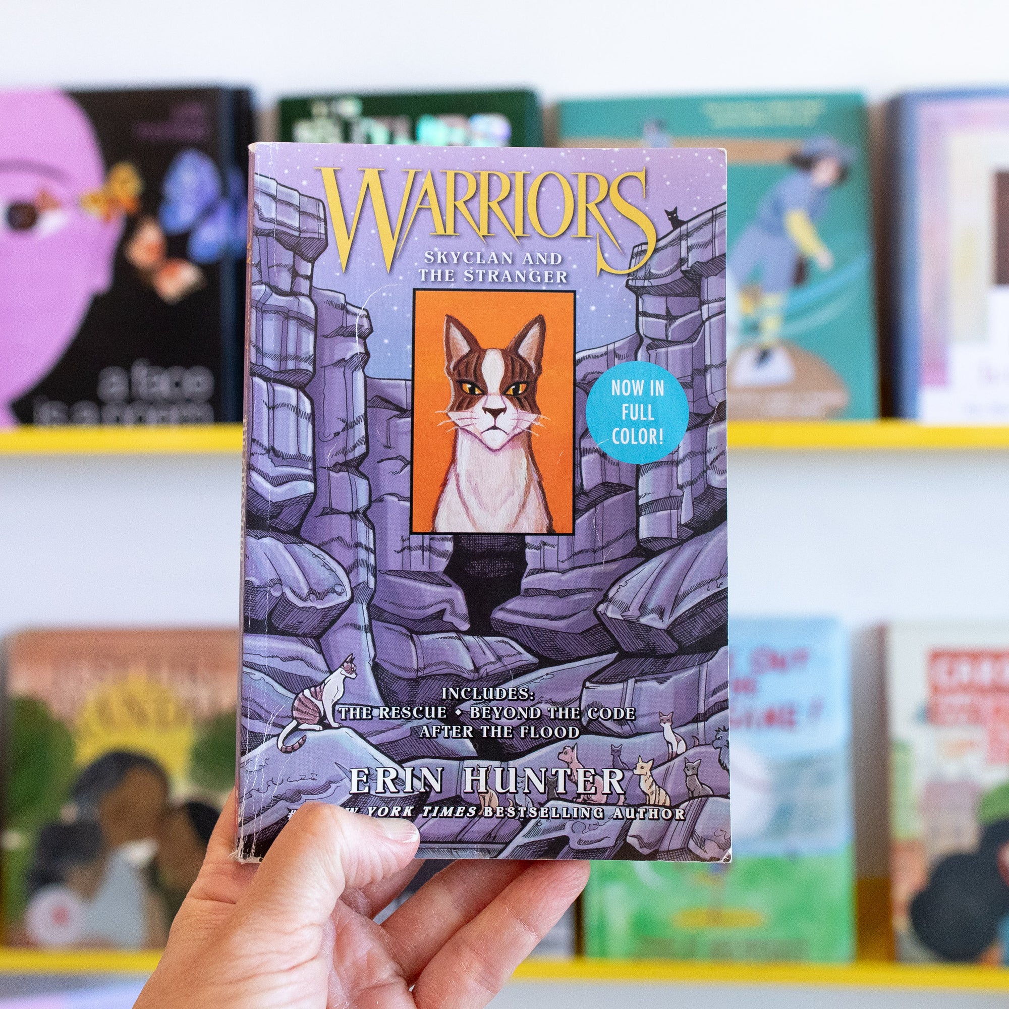 USED BOOK: Warriors: SkyClan and the Stranger by Erin Hunter