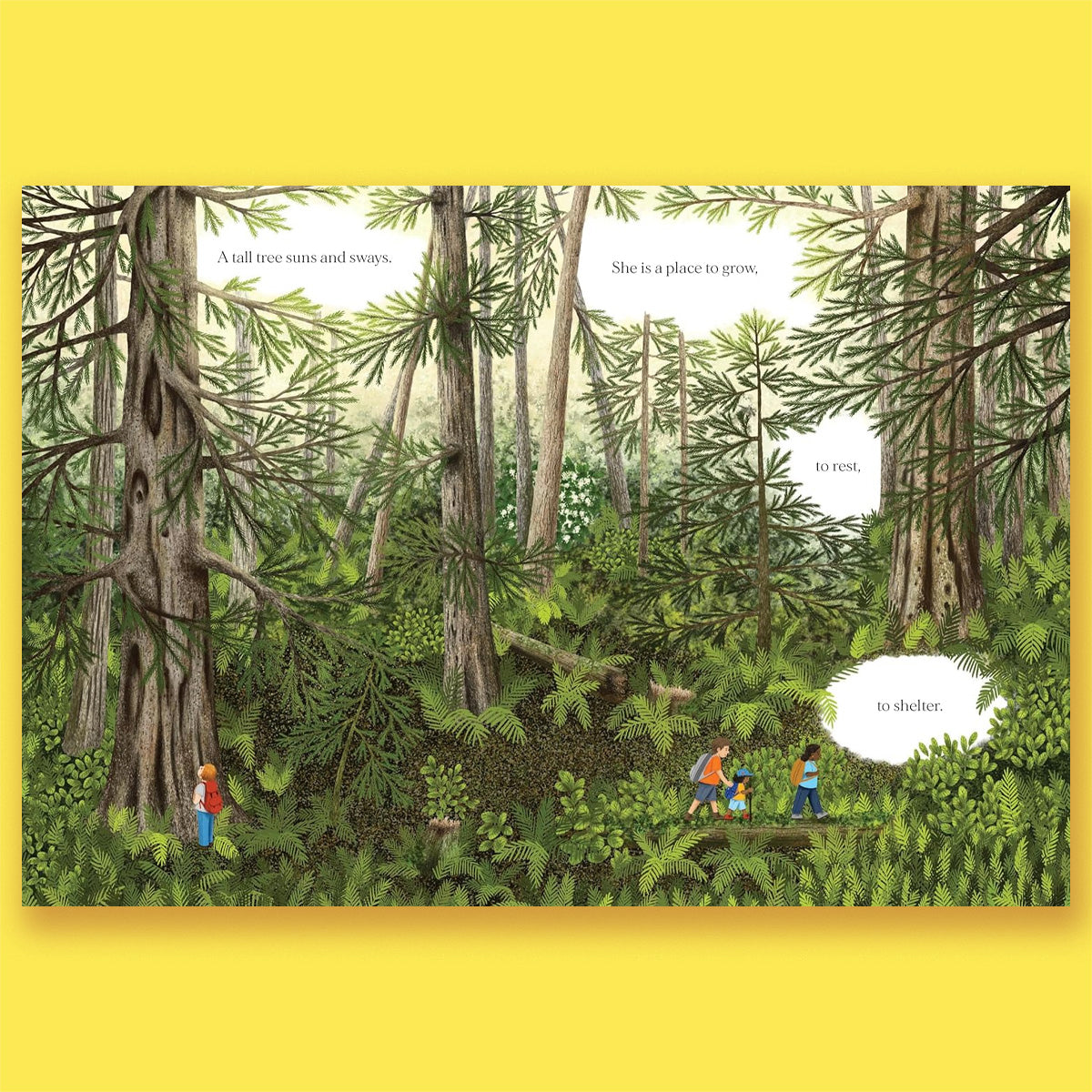 When a Tree Falls: Nurse Logs and Their Incredible Forest Power by Kirsten Pendreigh and Elke Boschinger