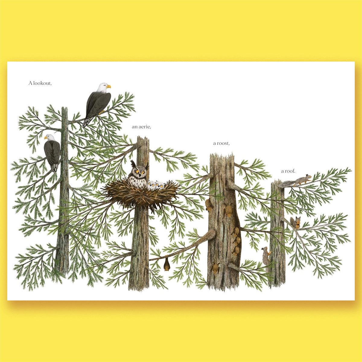 When a Tree Falls: Nurse Logs and Their Incredible Forest Power by Kirsten Pendreigh and Elke Boschinger