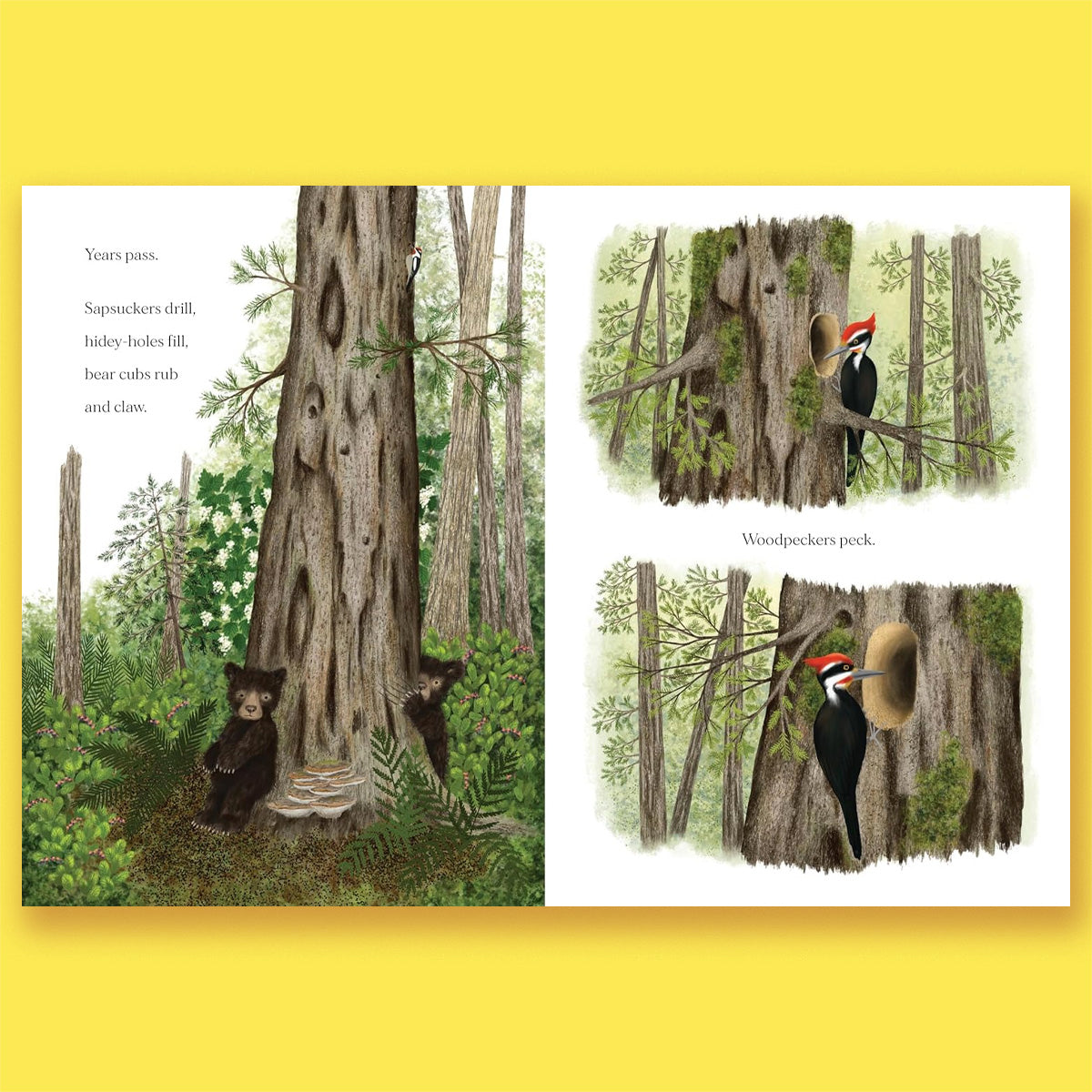 When a Tree Falls: Nurse Logs and Their Incredible Forest Power by Kirsten Pendreigh and Elke Boschinger