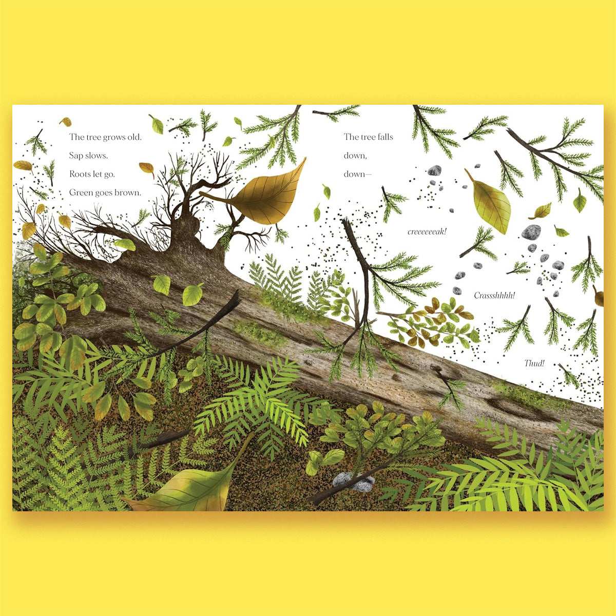 When a Tree Falls: Nurse Logs and Their Incredible Forest Power by Kirsten Pendreigh and Elke Boschinger