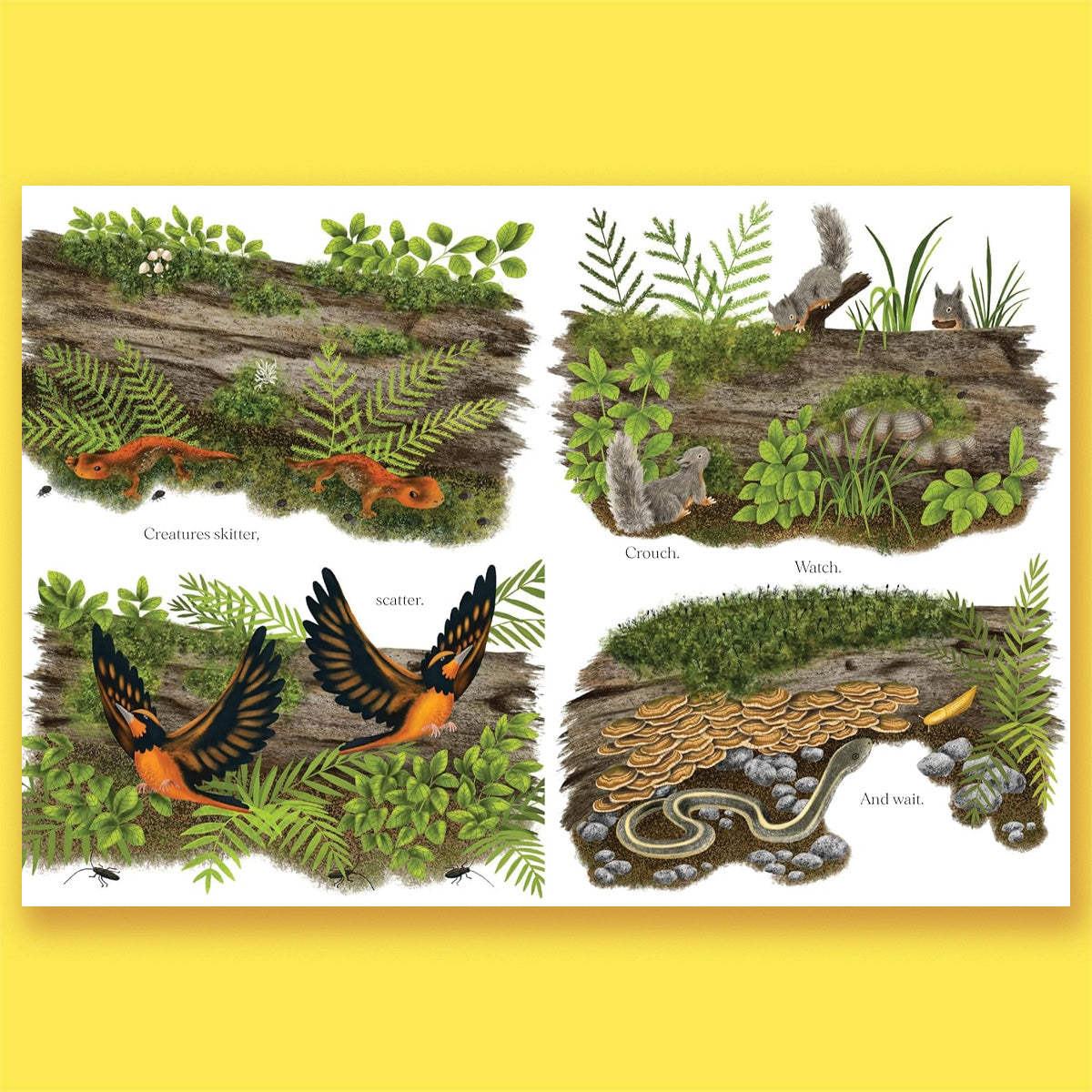 When a Tree Falls: Nurse Logs and Their Incredible Forest Power by Kirsten Pendreigh and Elke Boschinger