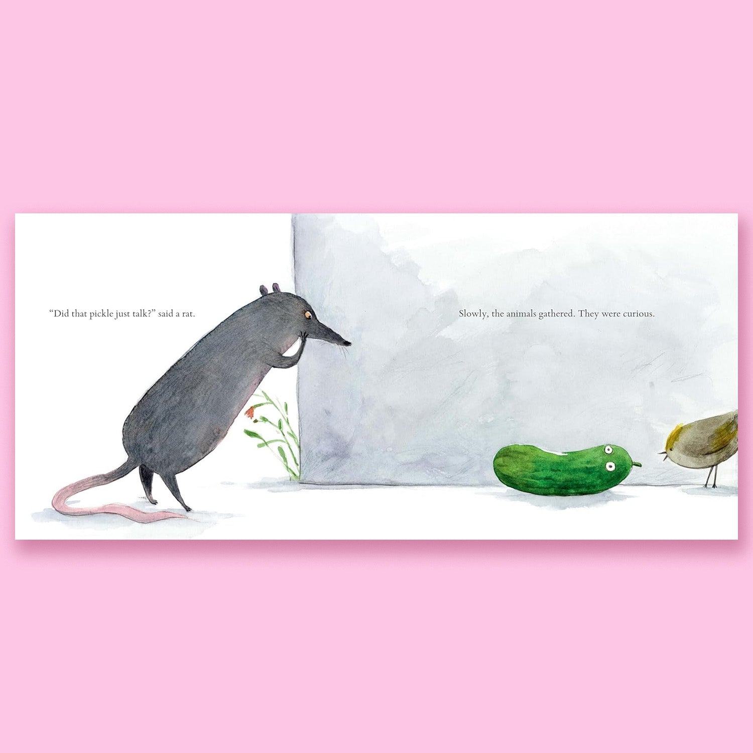 The Wise Pickle by Sarah Howden and Sabina Hahn