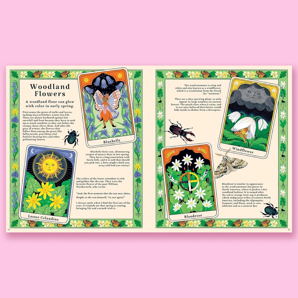 Woodlore: Discover the Seasons and Stories of the Forest by Kevin Parr and Anja Sušanj