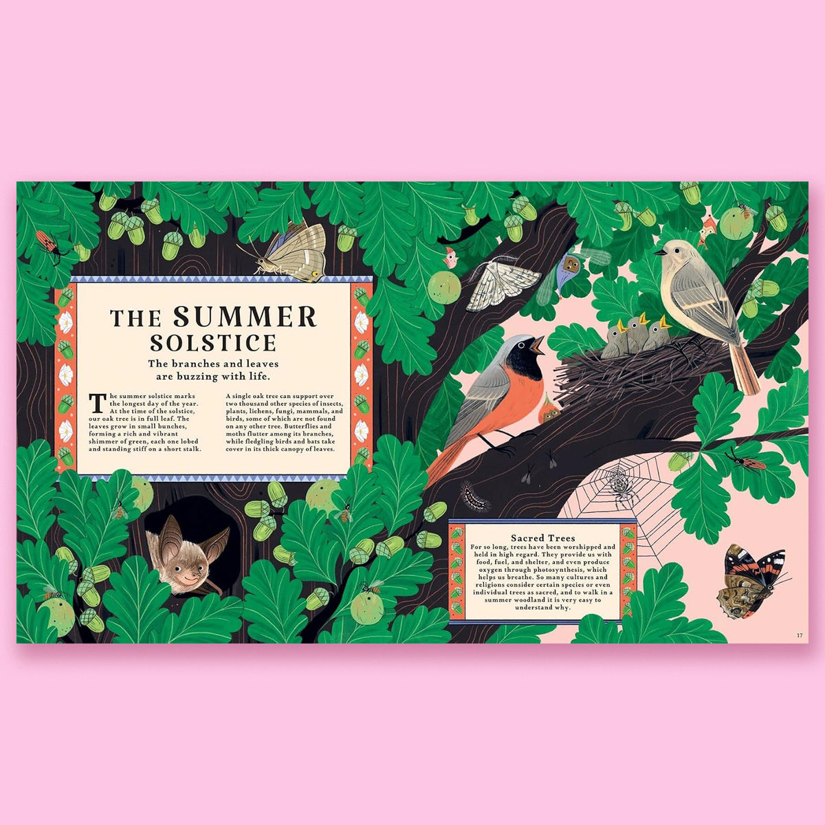 Woodlore: Discover the Seasons and Stories of the Forest by Kevin Parr and Anja Sušanj