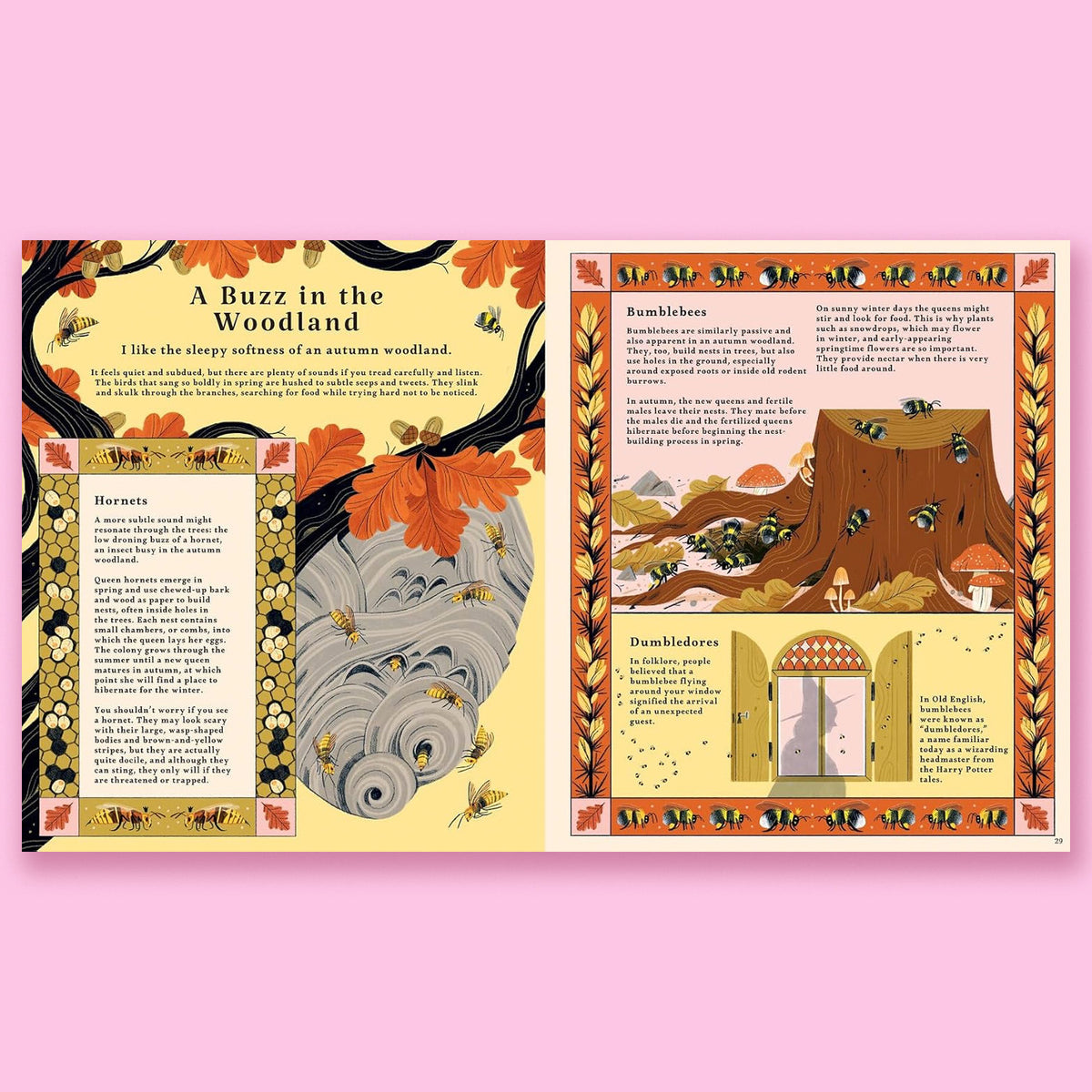 Woodlore: Discover the Seasons and Stories of the Forest by Kevin Parr and Anja Sušanj