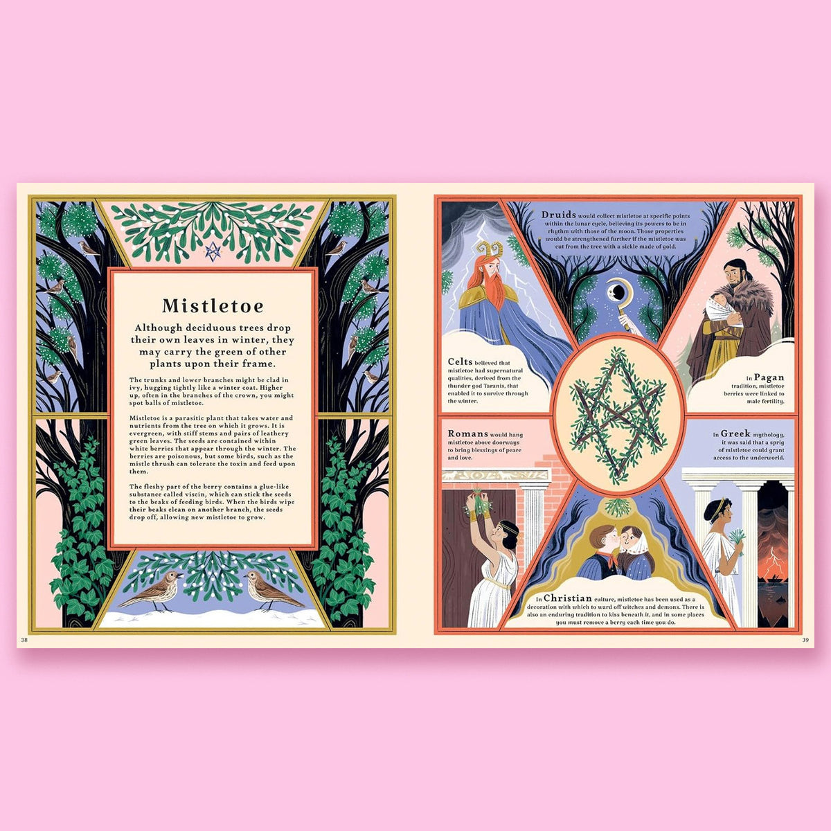 Woodlore: Discover the Seasons and Stories of the Forest by Kevin Parr and Anja Sušanj