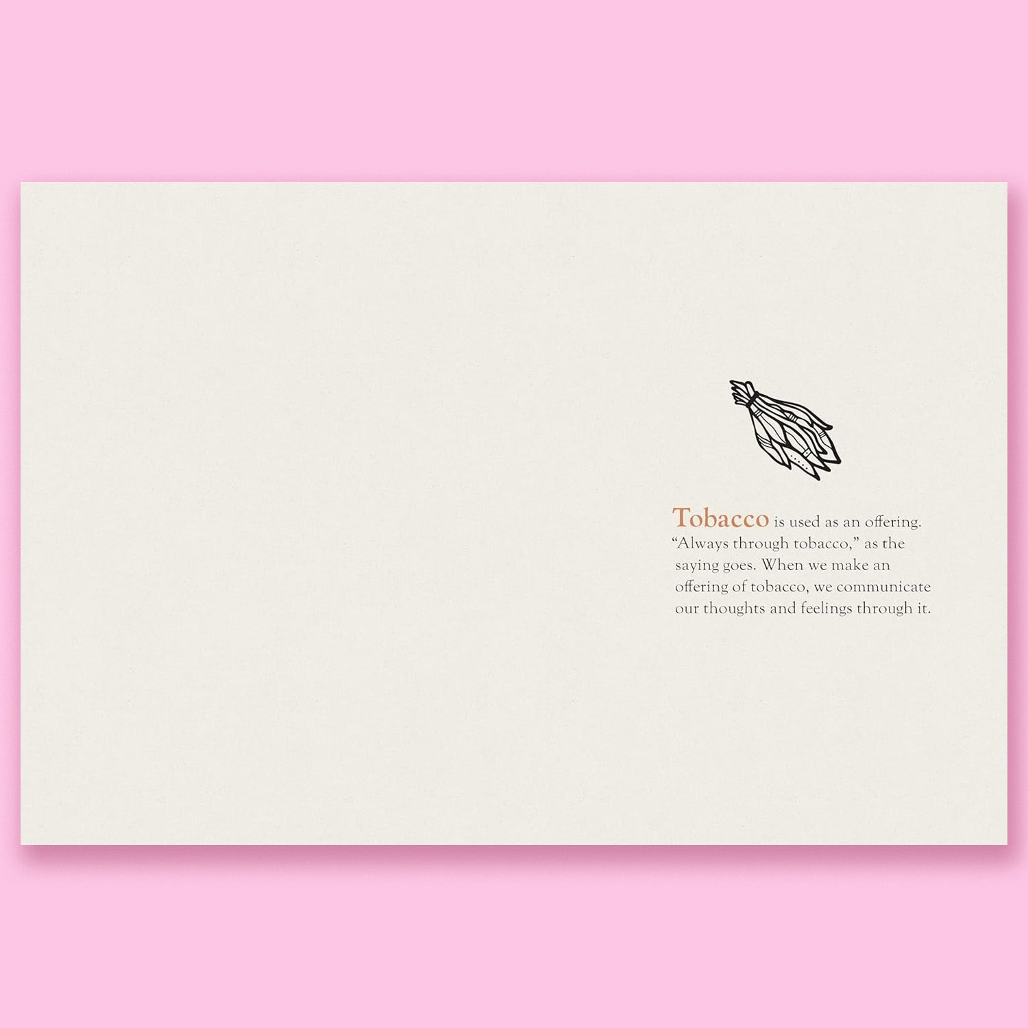 You Were Made for This World: Celebrated Indigenous Voices Speak to Young People by Stephanie Sinclair and Sara Sinclair