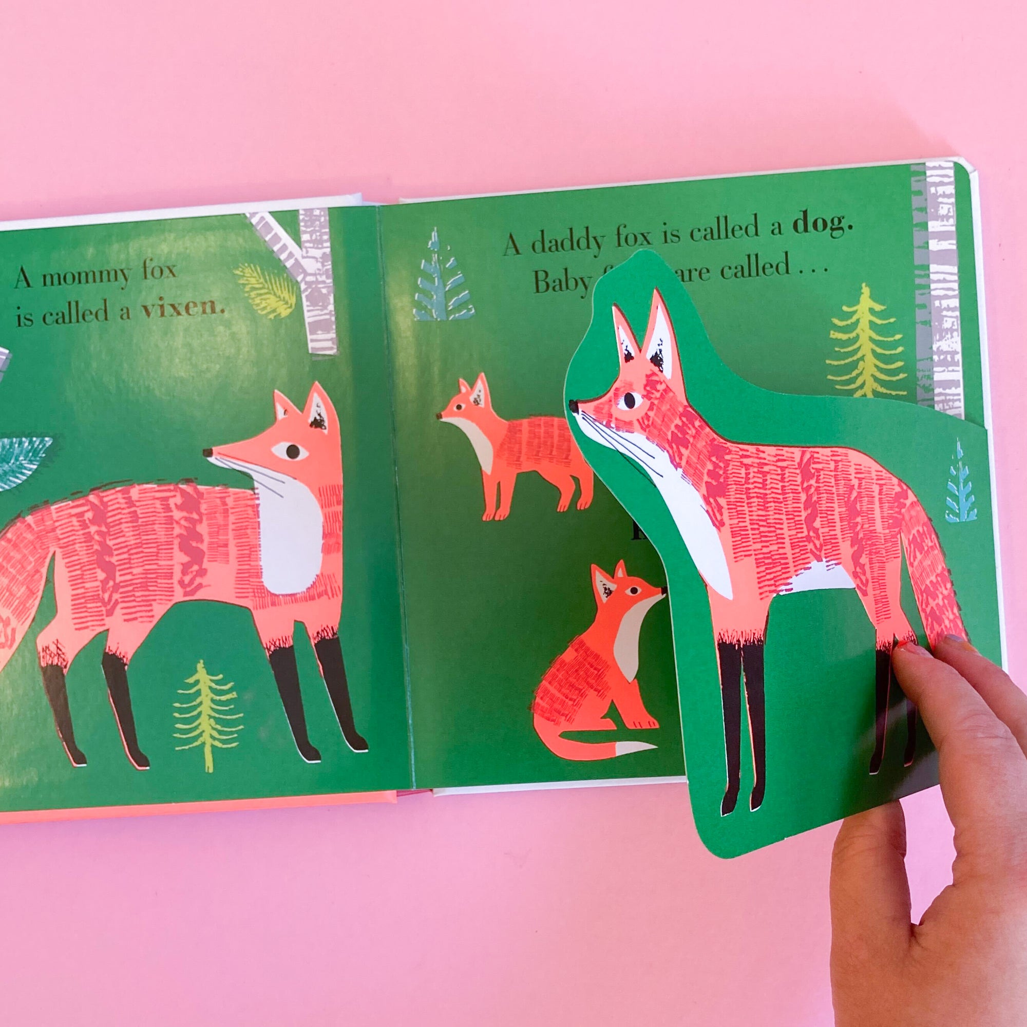 Animal Families: Forest by Nosy Crow and Jane Ormes