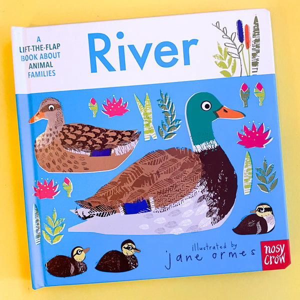 Animal Families: River by Nosy Crow and Jane Ormes