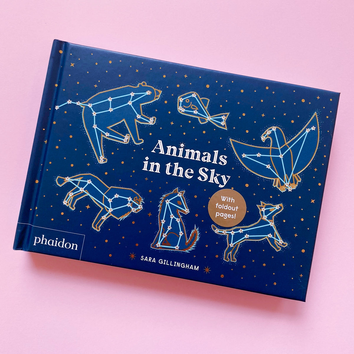Animals in the Sky by Sara Gillingham