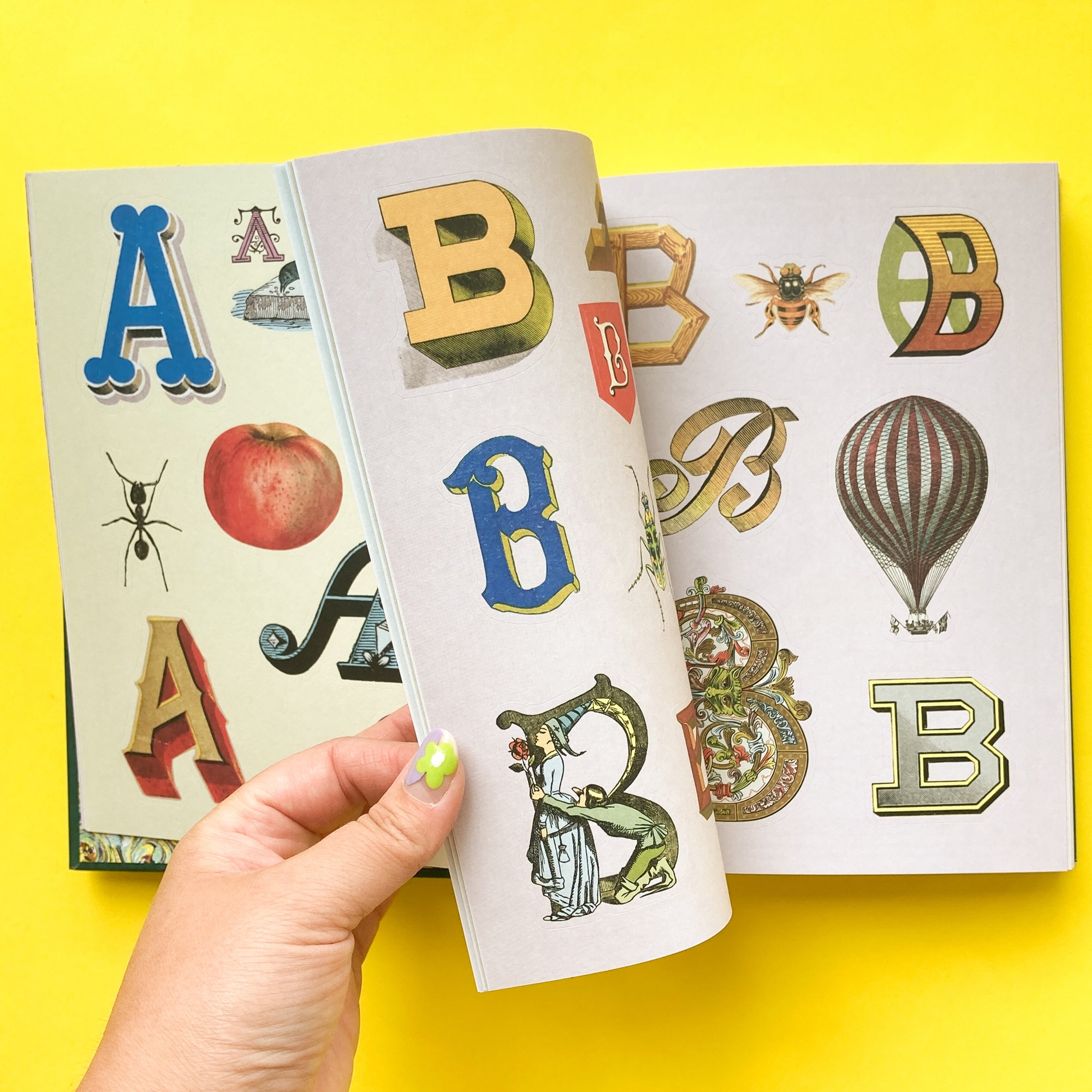 The Antiquarian Sticker Book: Bibliophilia