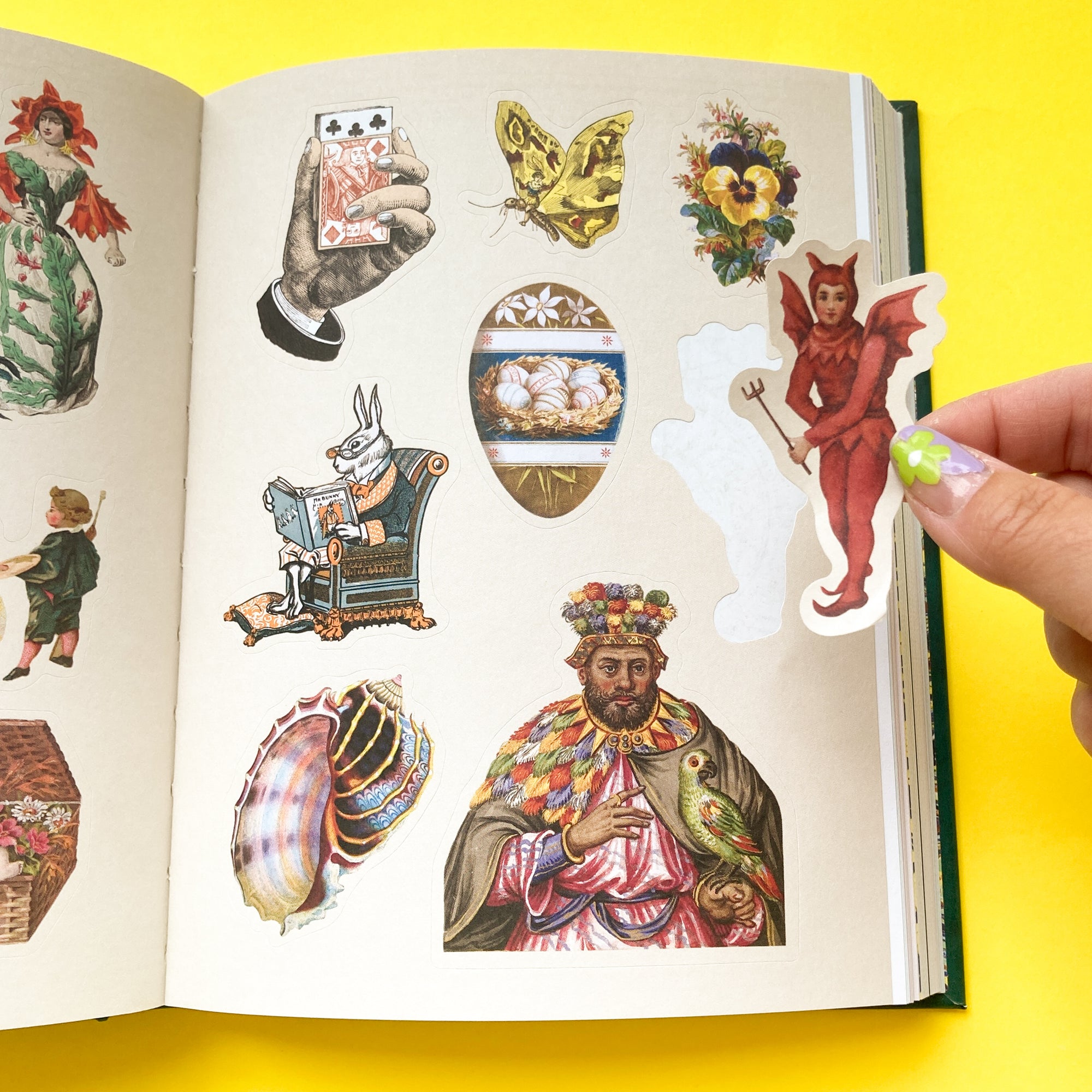 The Antiquarian Sticker Book: Bibliophilia