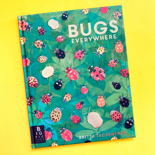 Bugs Everywhere by Lily Murray and Britta Teckentrup