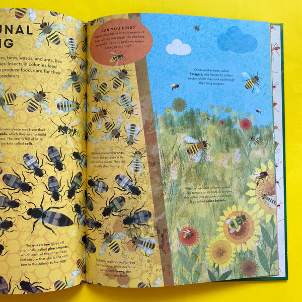 Bugs Everywhere by Lily Murray and Britta Teckentrup – Collage Collage