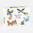 Butterfly Wings: A Matching Game by Christine Berrie