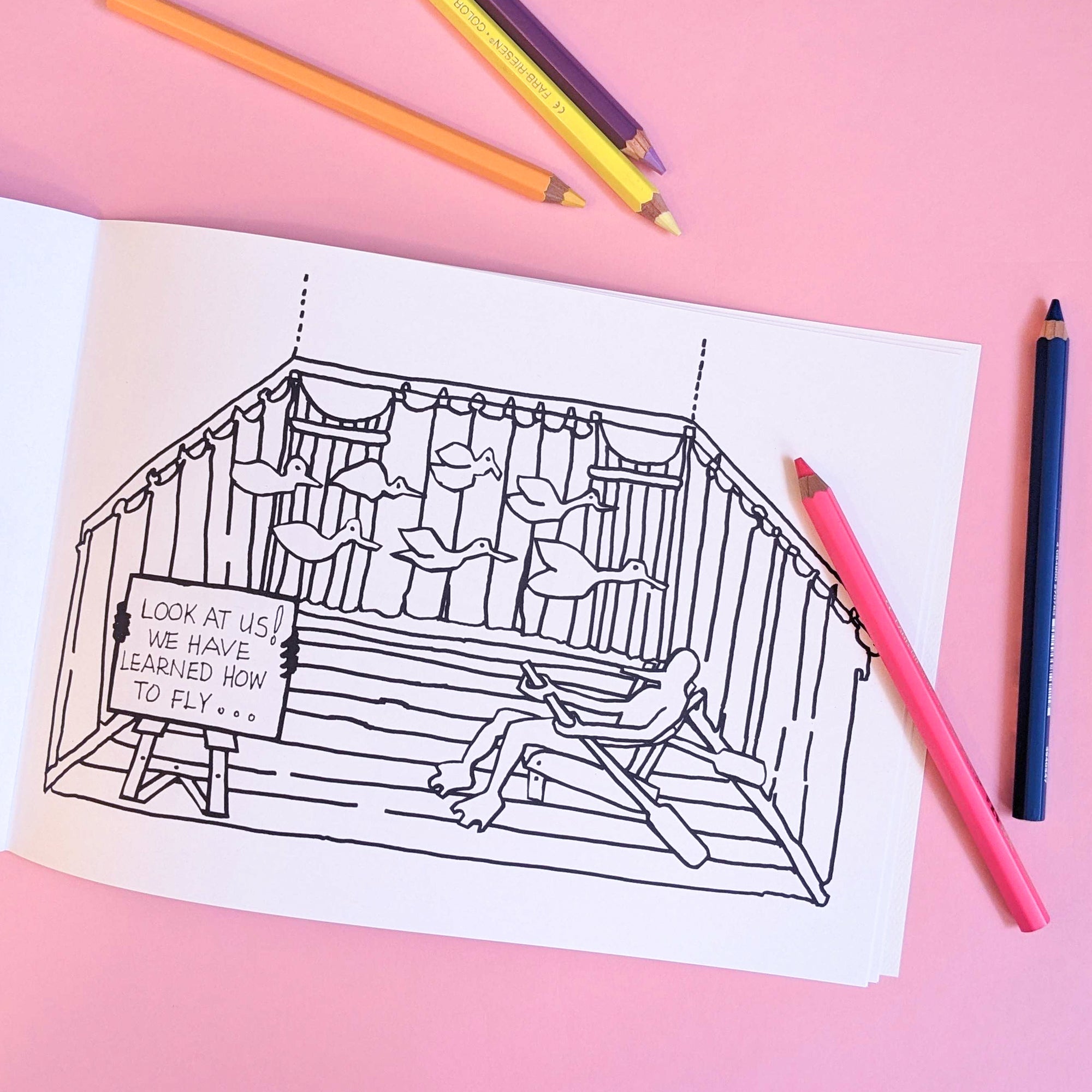 Carole Itter: Please Meet the Geese Who Have Lived Here Forever - A Colouring Book