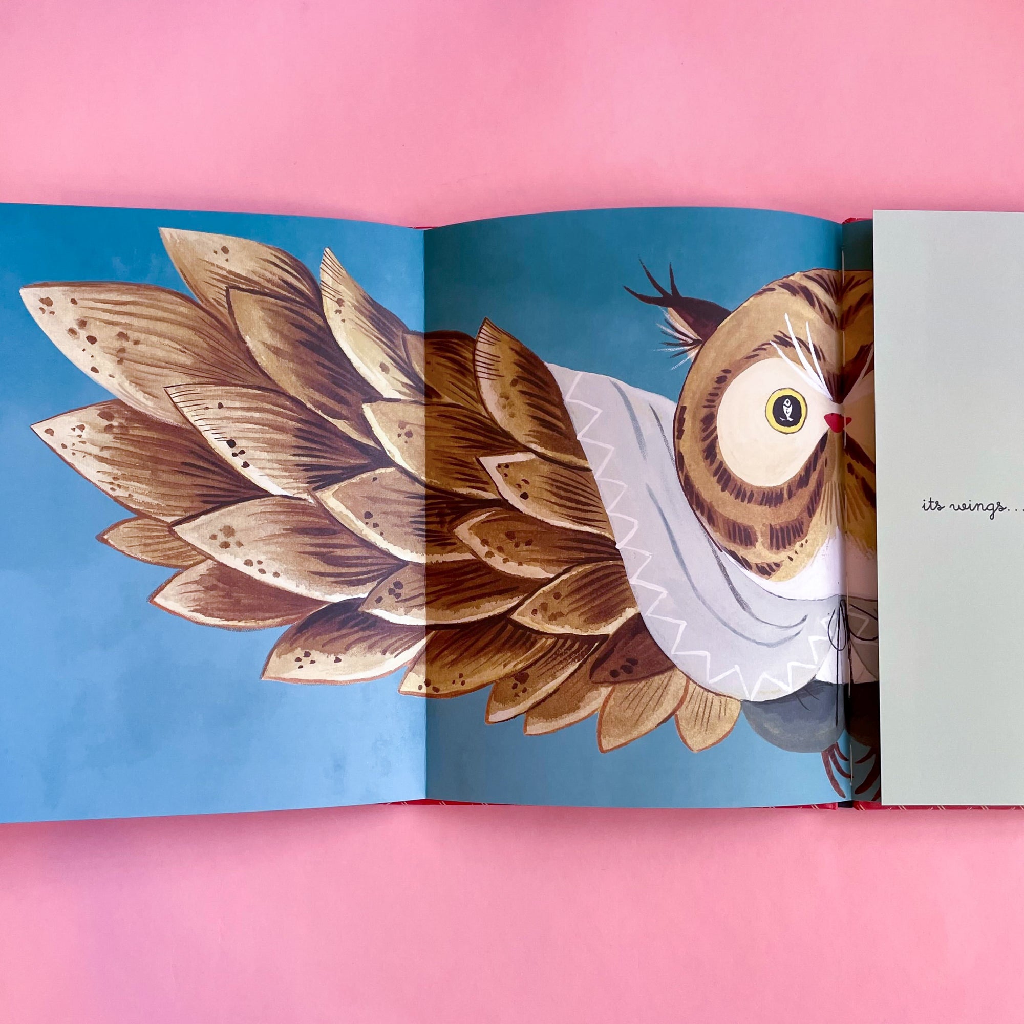 The Cat, the Owl and the Fresh Fish by Nadine Robert and Sang Miao