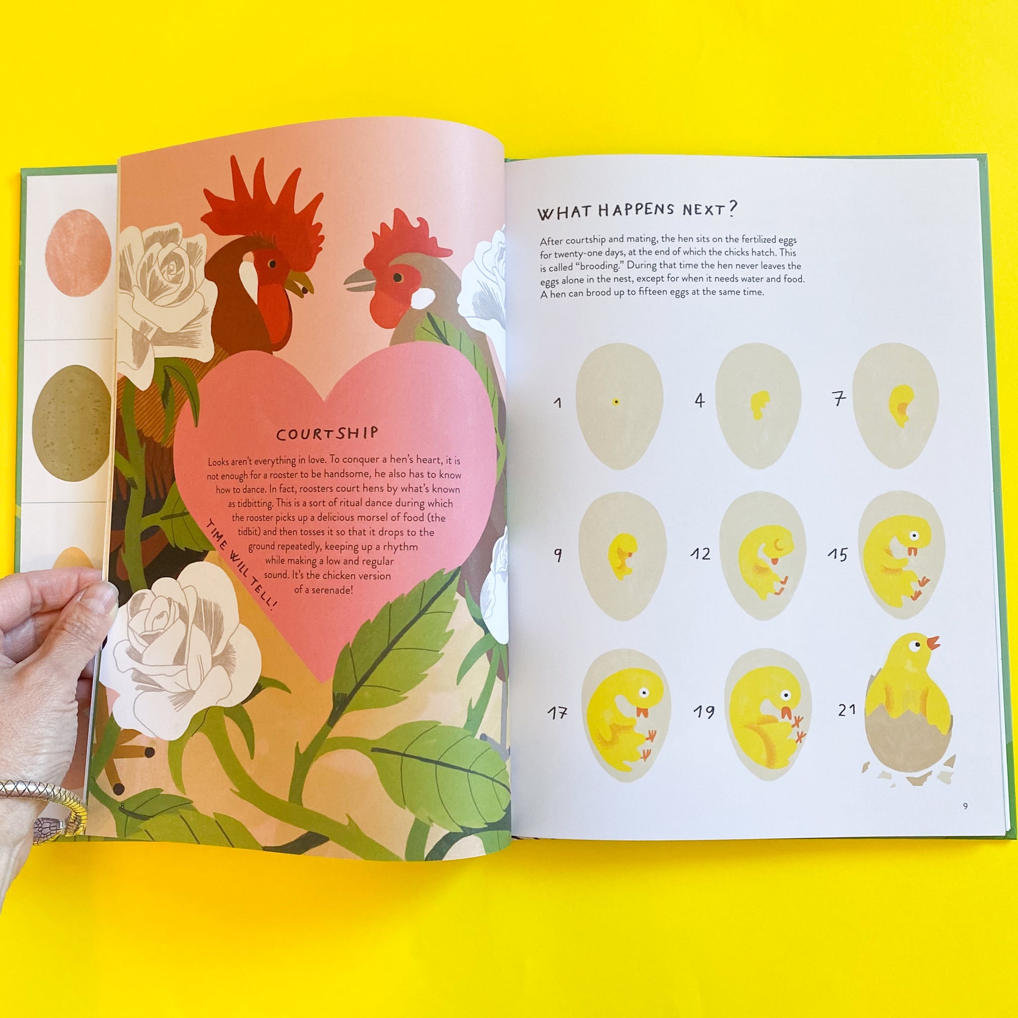 Chickenology: The Ultimate Encyclopedia By Barbara Sandri