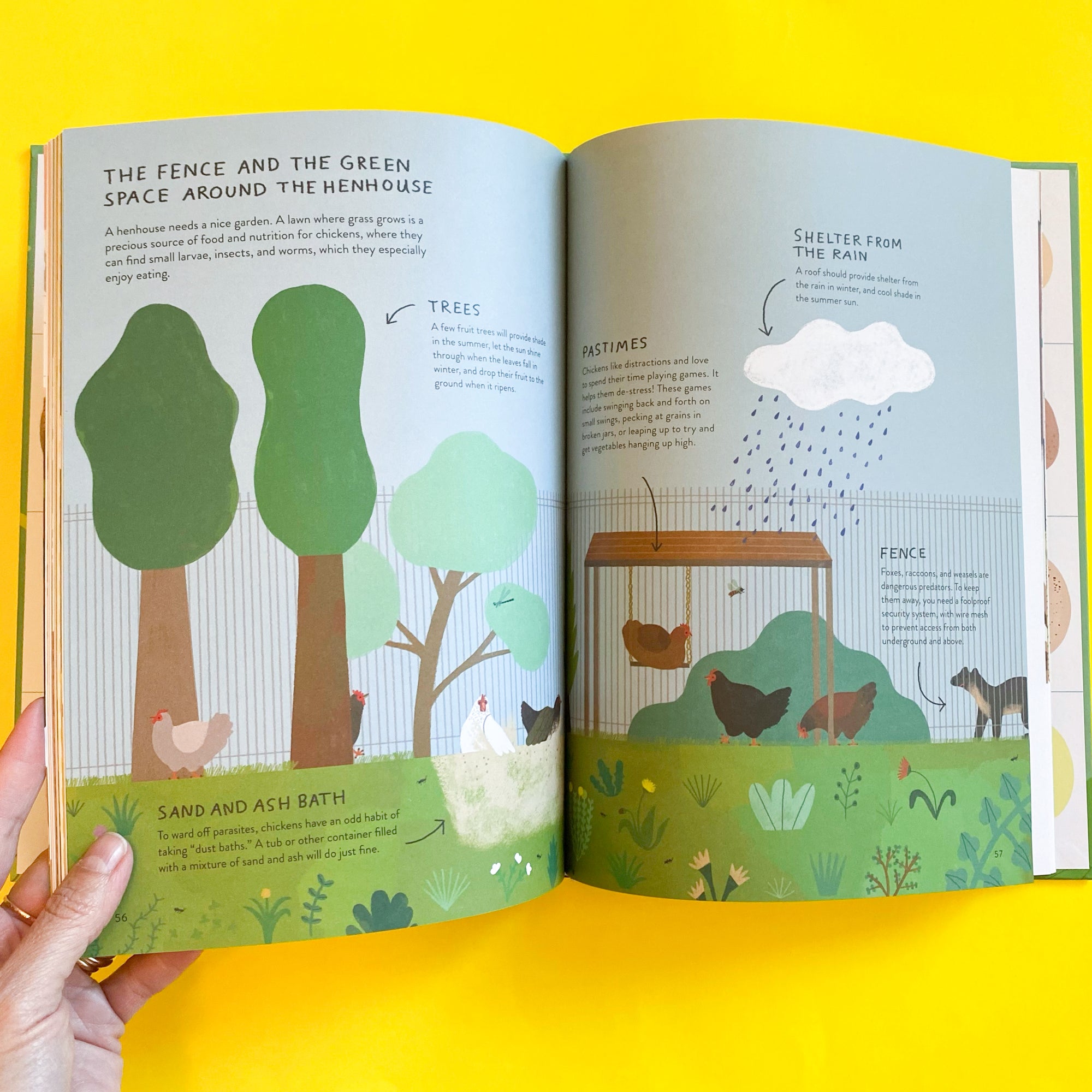 Chickenology: The Ultimate Encyclopedia By Barbara Sandri