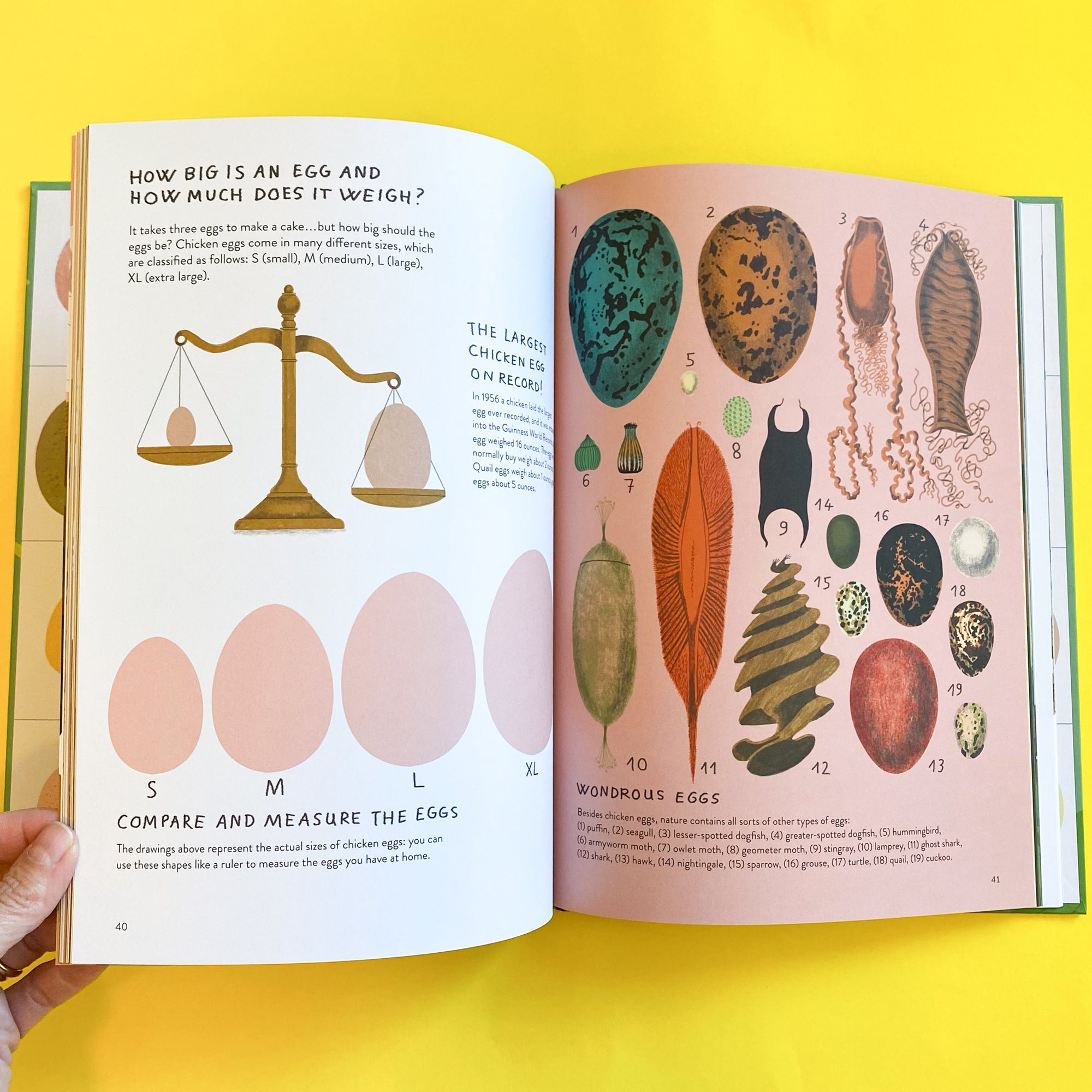 Chickenology: The Ultimate Encyclopedia By Barbara Sandri