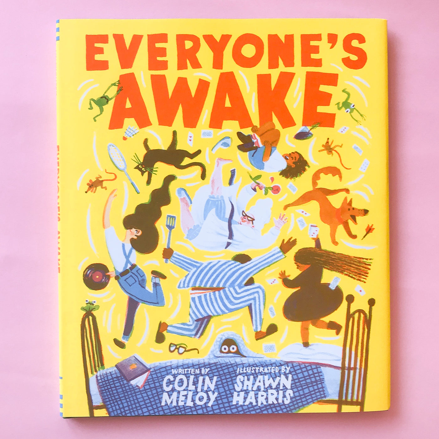 Everyone's Awake by Colin Meloy