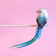 Blue Budgie Feather Bird Clip in Blue and Teal Colors by Petra Boase