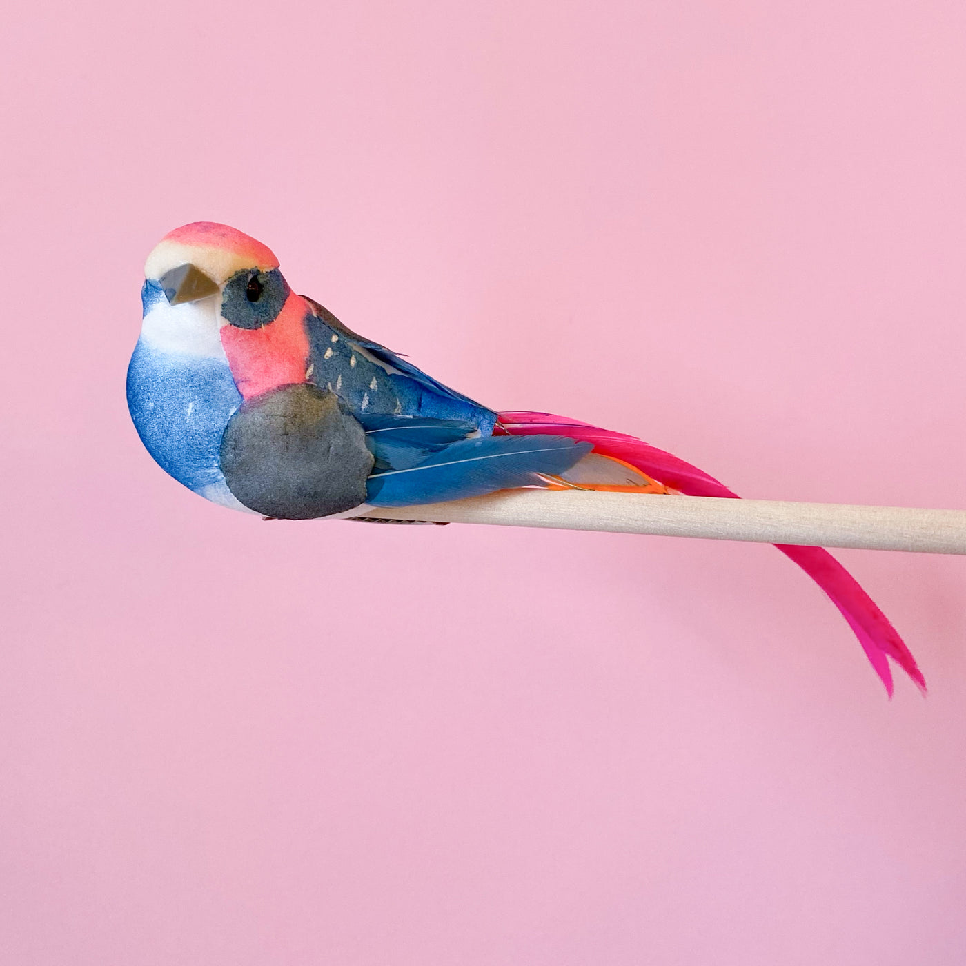 Feather Bird Clip with blue body and pink tail by Petra Boase