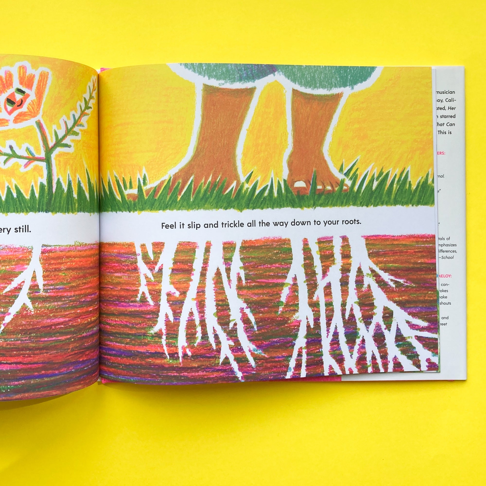 Have You Ever Seen a Flower? by Shawn Harris