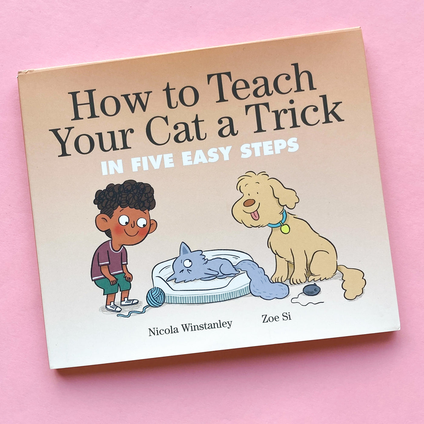 How to Teach Your Cat a Trick: in Five Easy Steps by Nicola Winstanley and Zoe Si