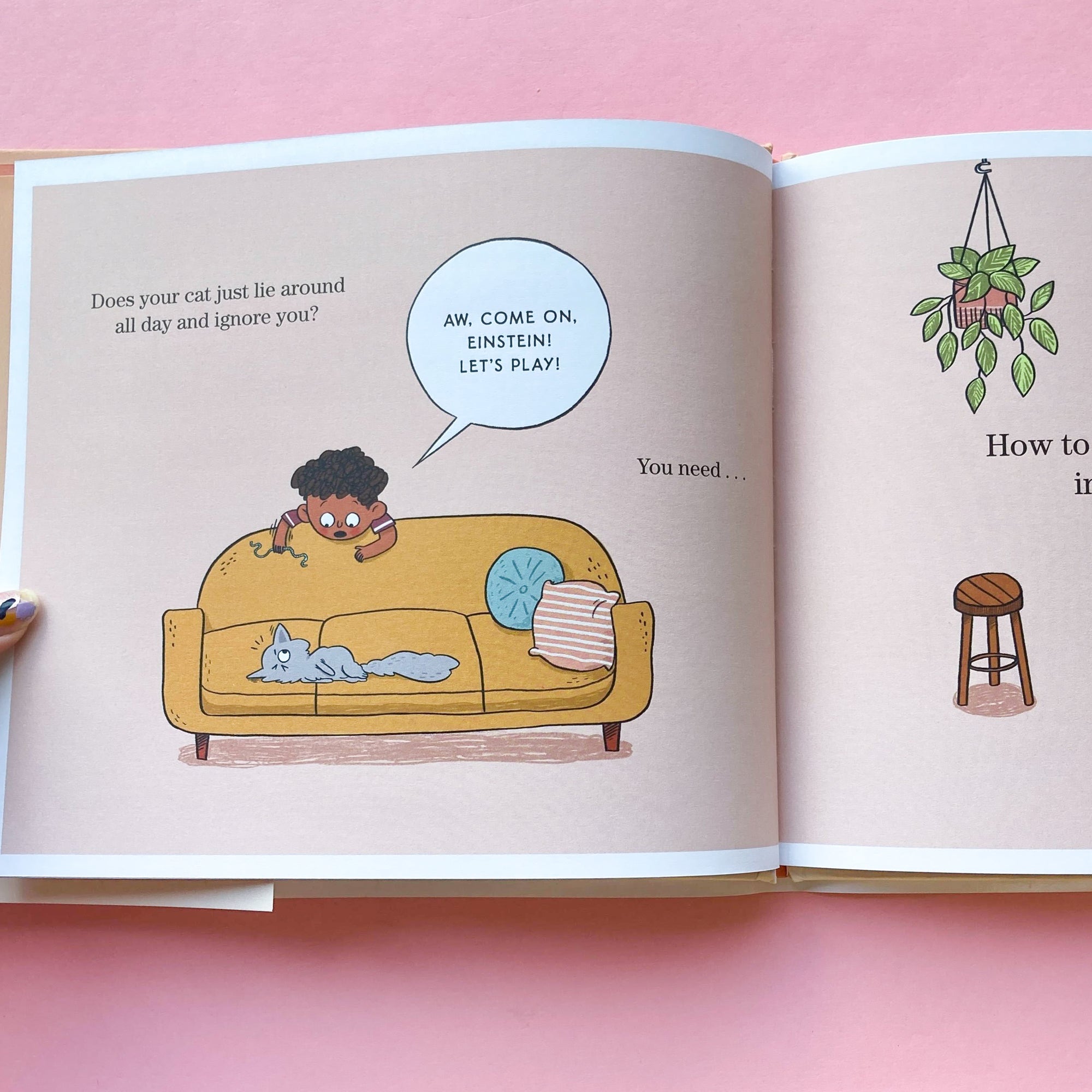 How to Teach Your Cat a Trick: in Five Easy Steps by Nicola Winstanley and Zoe Si