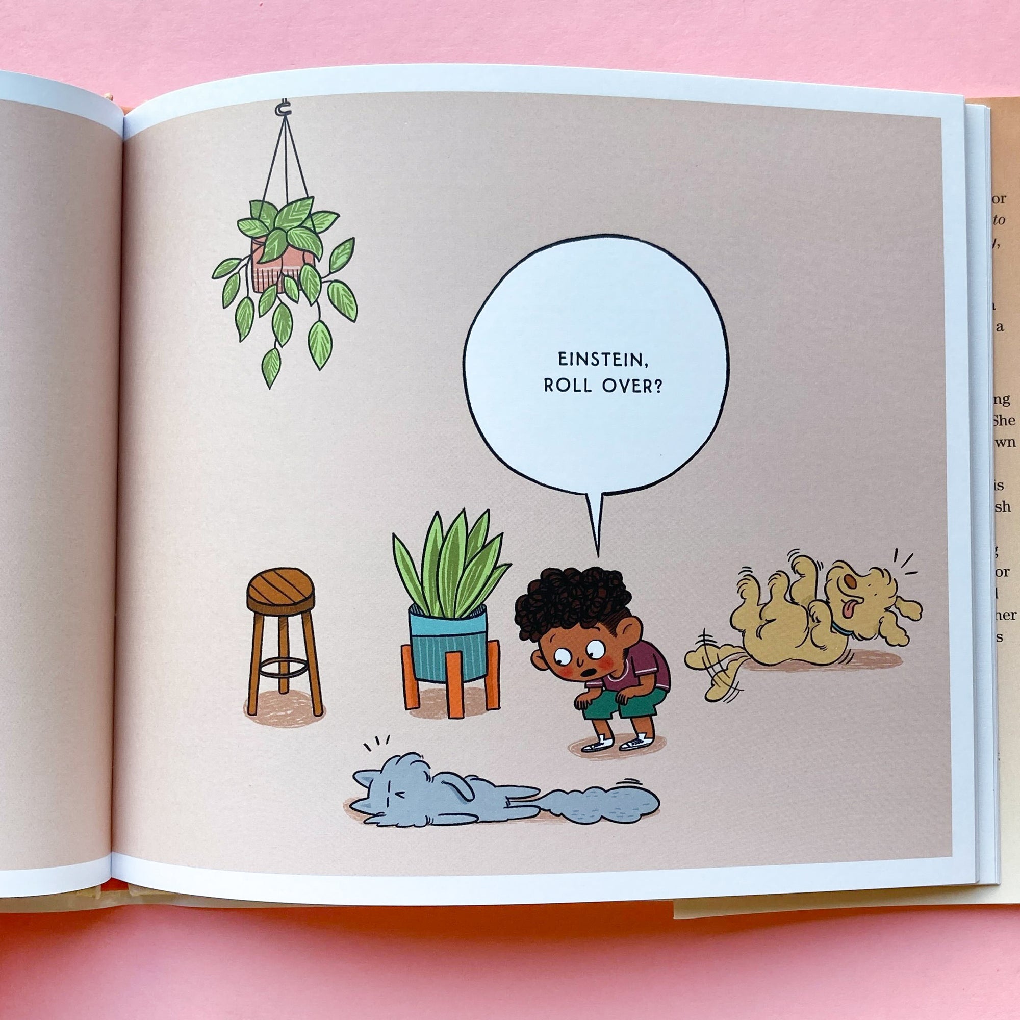 How to Teach Your Cat a Trick: in Five Easy Steps by Nicola Winstanley and Zoe Si