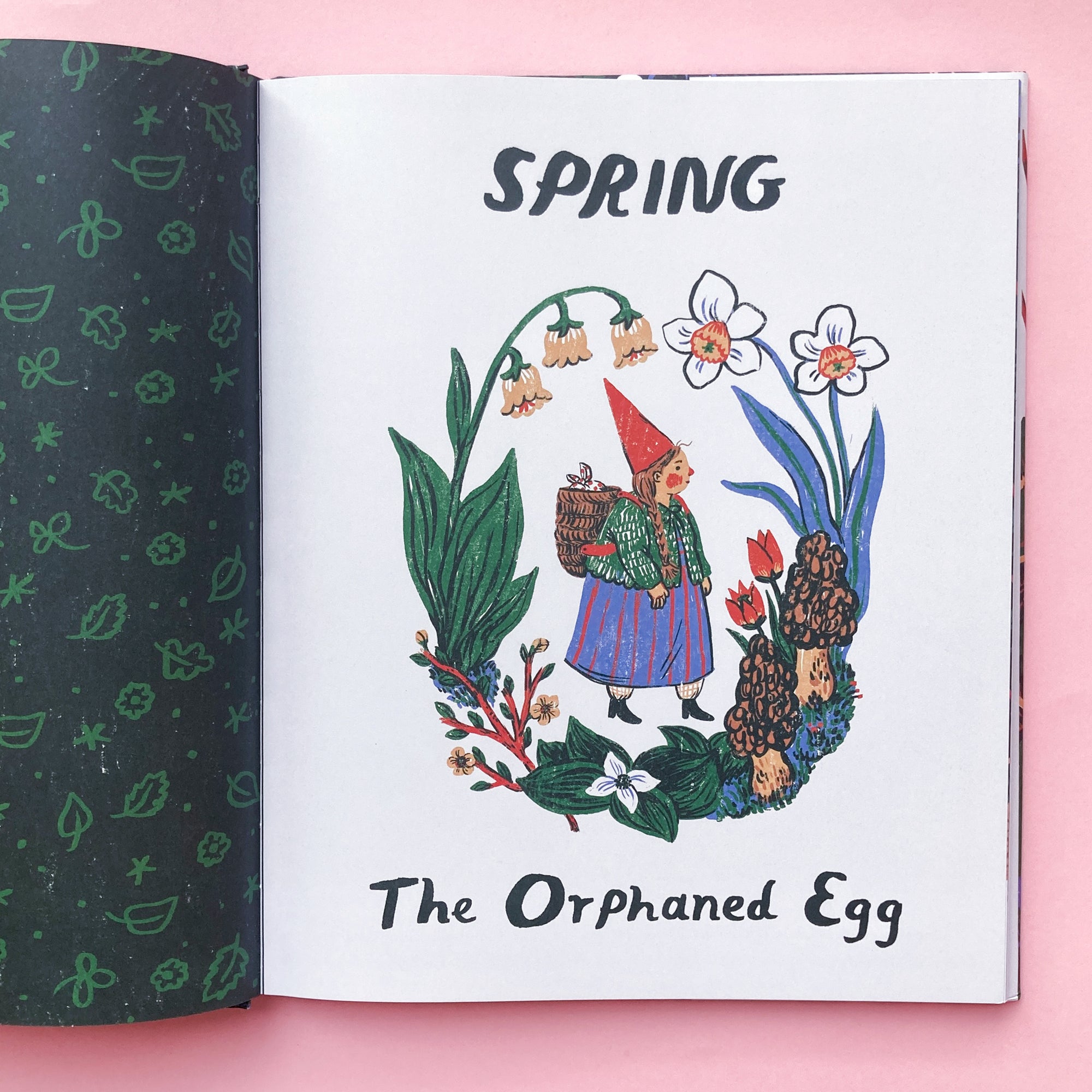 Little Witch Hazel: A Year in the Forest by Phoebe Wahl