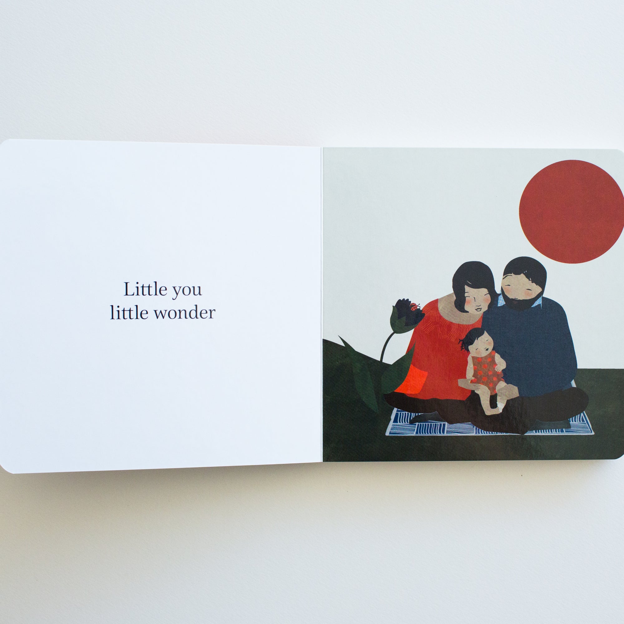 Little You by Richard Van Camp &amp; Illustrated by Julie Flett