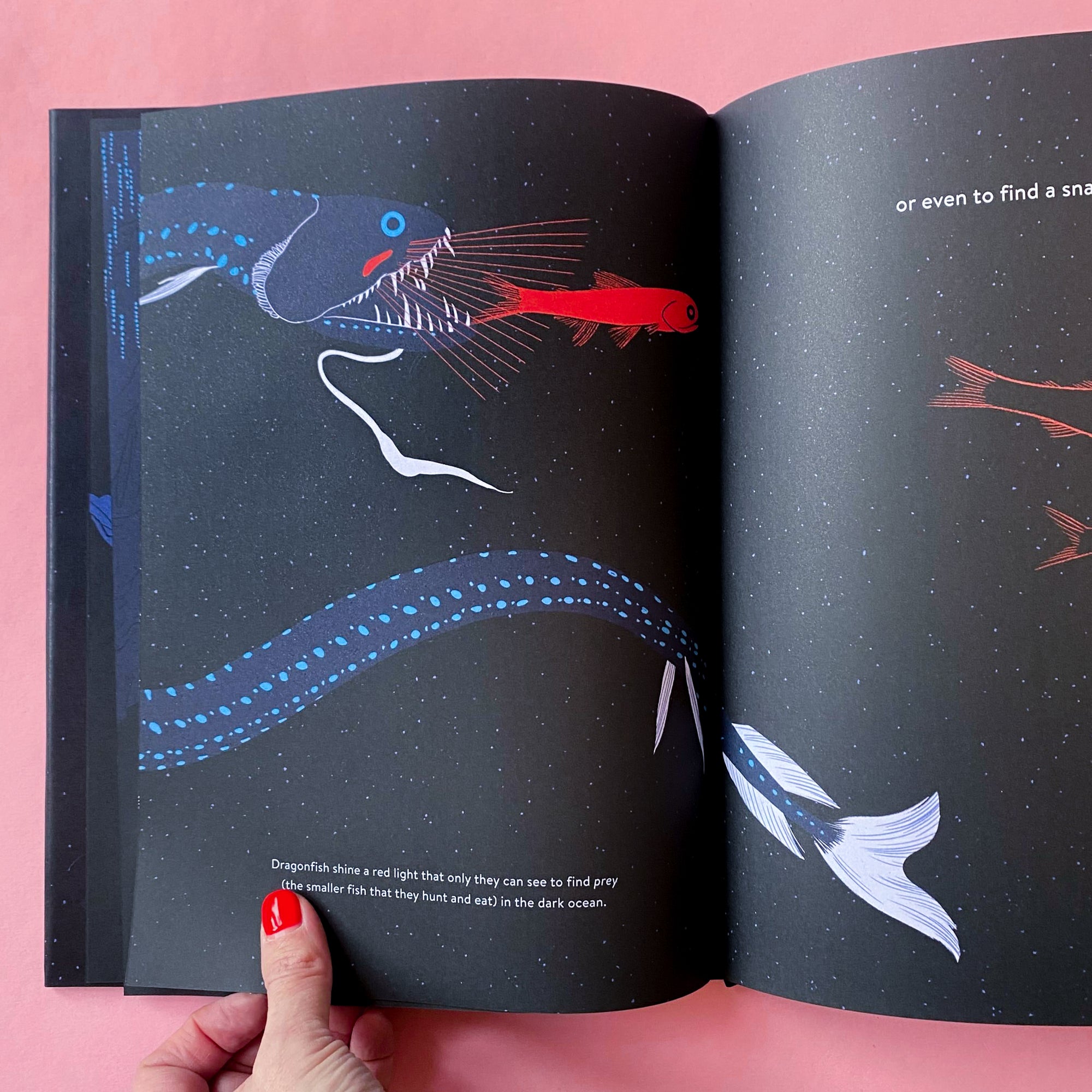 Luminous: Living Things That Light Up the Night by Julia Kuo