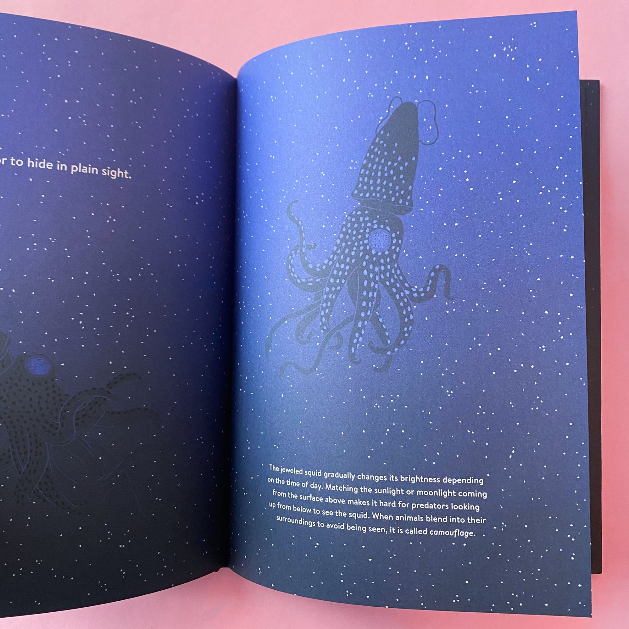 Luminous: Living Things That Light Up the Night by Julia Kuo