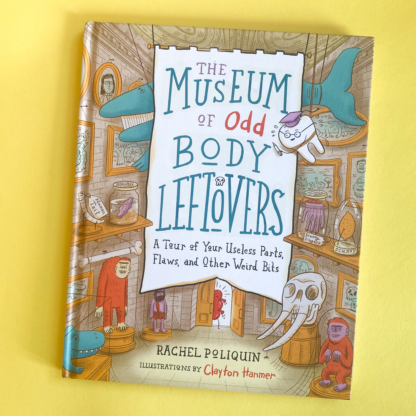 The Museum of Odd Body Leftovers: A Tour of Your Useless Parts, Flaws, and Other Weird Bits by Rachel Poliquin and Clayton Hanmer