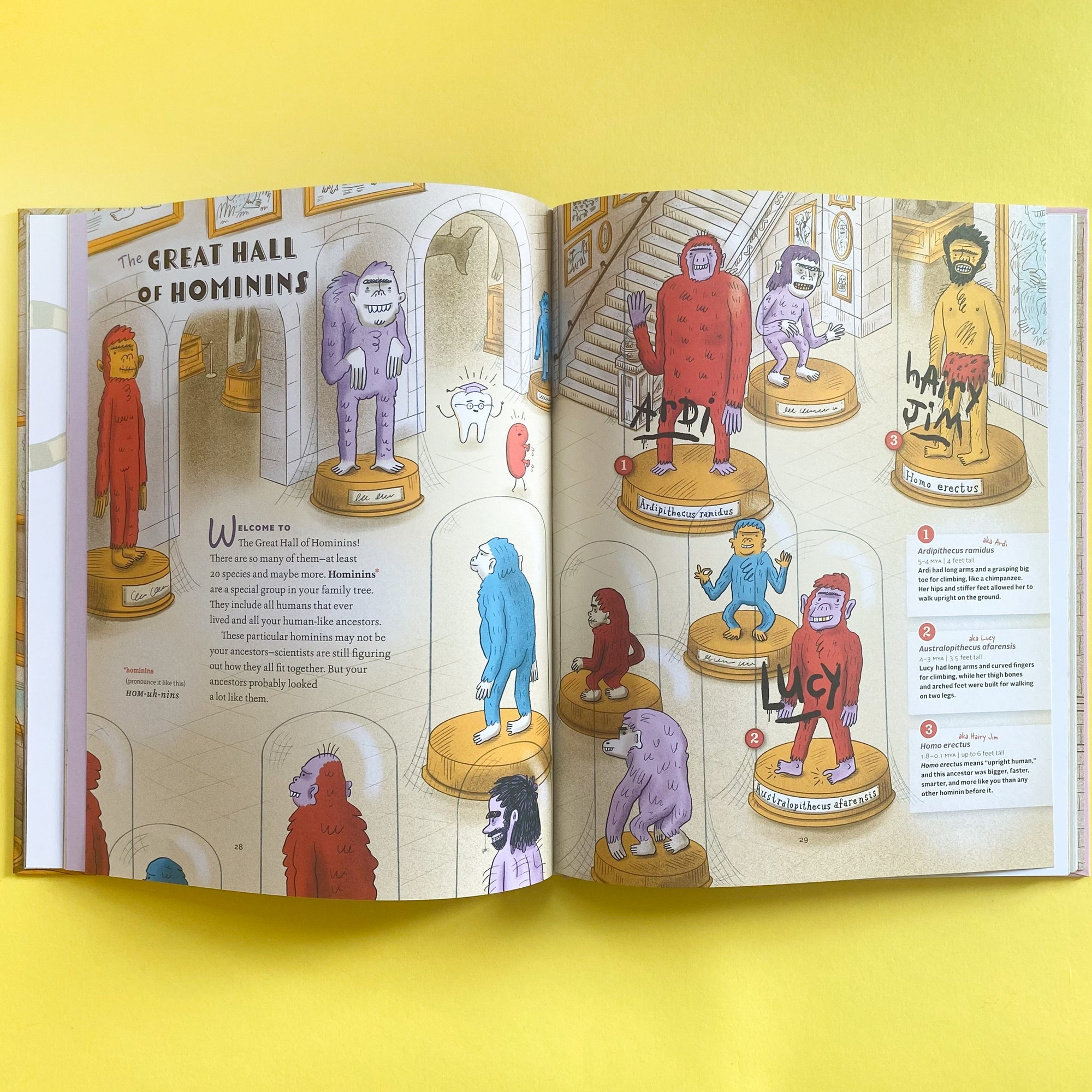 The Museum of Odd Body Leftovers: A Tour of Your Useless Parts, Flaws, and Other Weird Bits by Rachel Poliquin and Clayton Hanmer