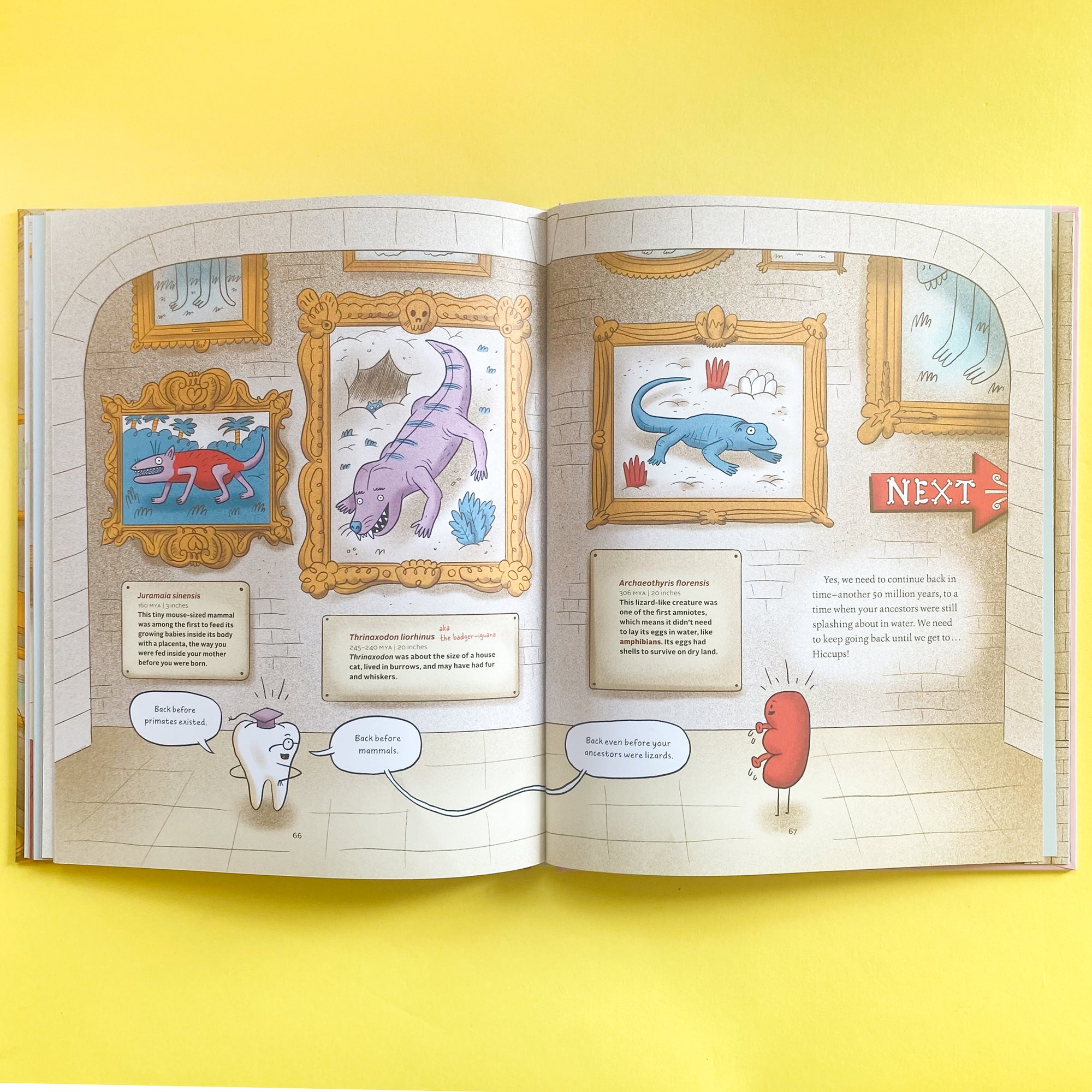 The Museum of Odd Body Leftovers: A Tour of Your Useless Parts, Flaws, and Other Weird Bits by Rachel Poliquin and Clayton Hanmer