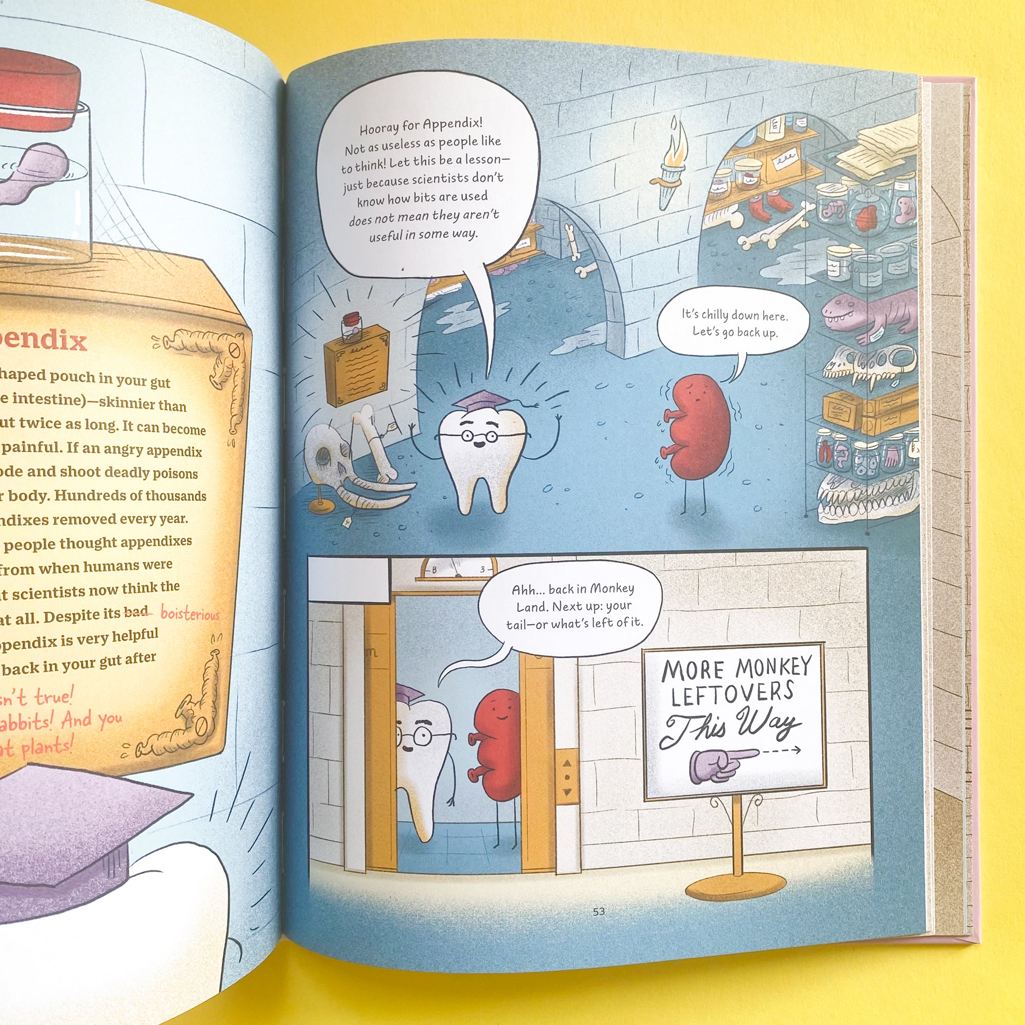 The Museum of Odd Body Leftovers: A Tour of Your Useless Parts, Flaws, and Other Weird Bits by Rachel Poliquin and Clayton Hanmer