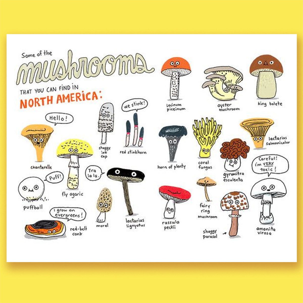 The Mushroom Fan Club by Elise Gravel
