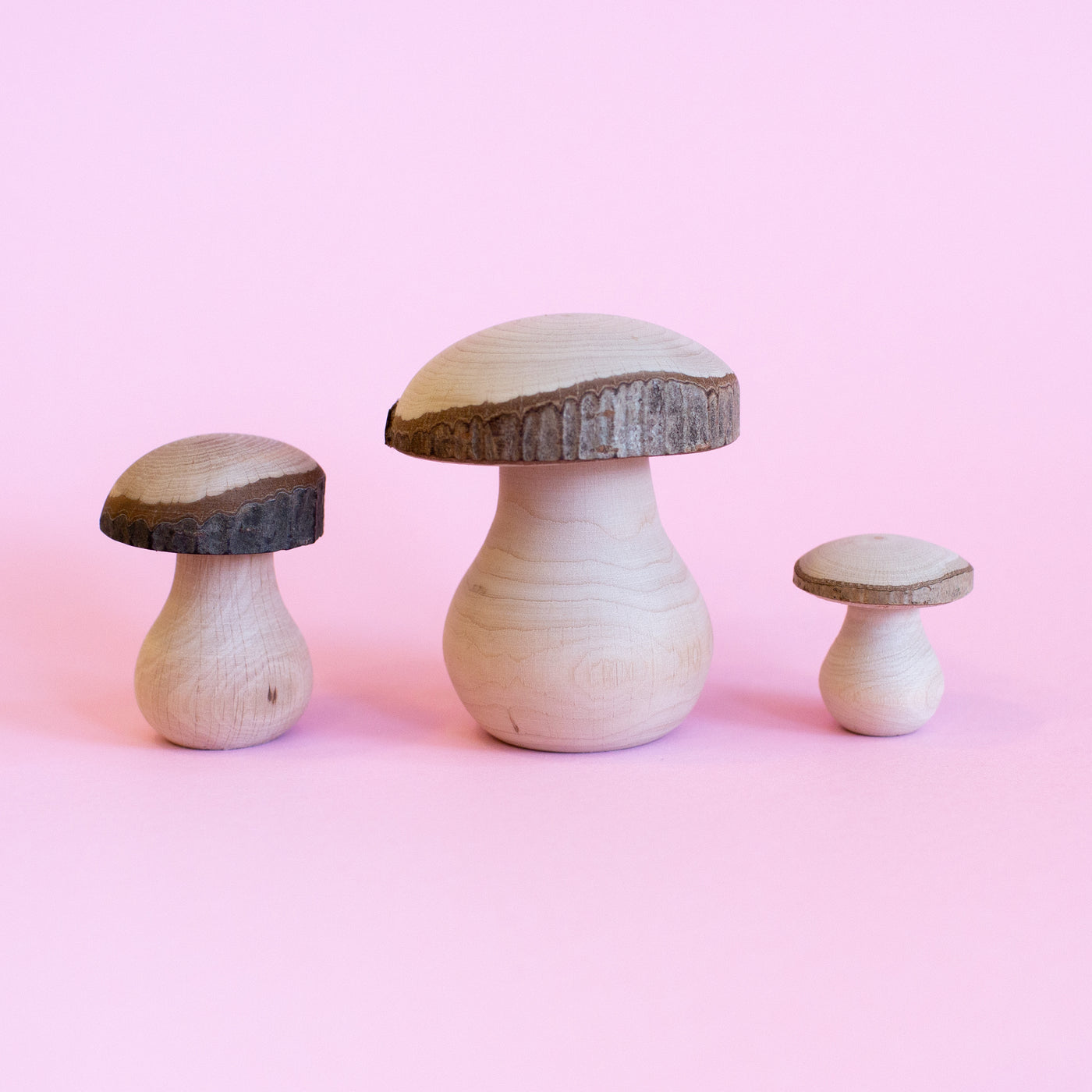 Wooden Handmade Mushrooms