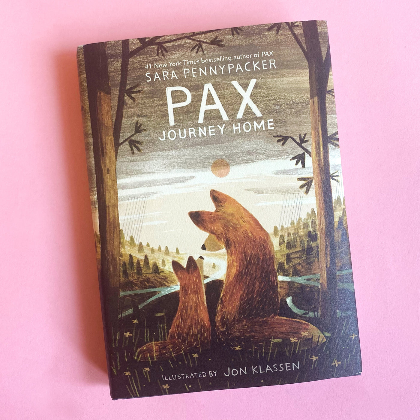 Pax, Journey Home by Sara Pennypacker and Jon Klassen