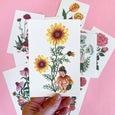 Flower Fairies Postcard Set