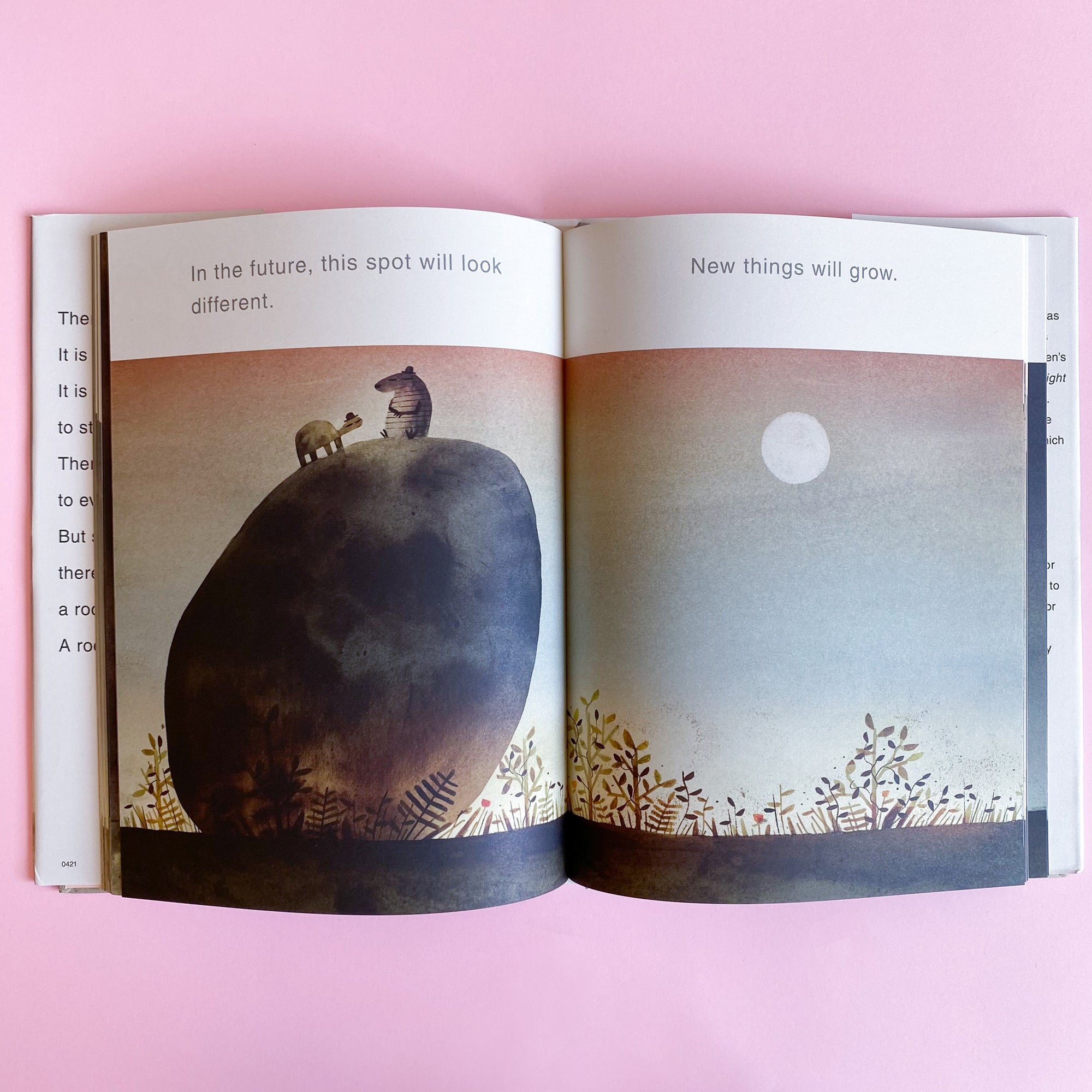 The Rock from the Sky by Jon Klassen