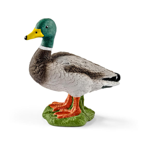 Schleich Farm World Drake Duck Toy Figurine
