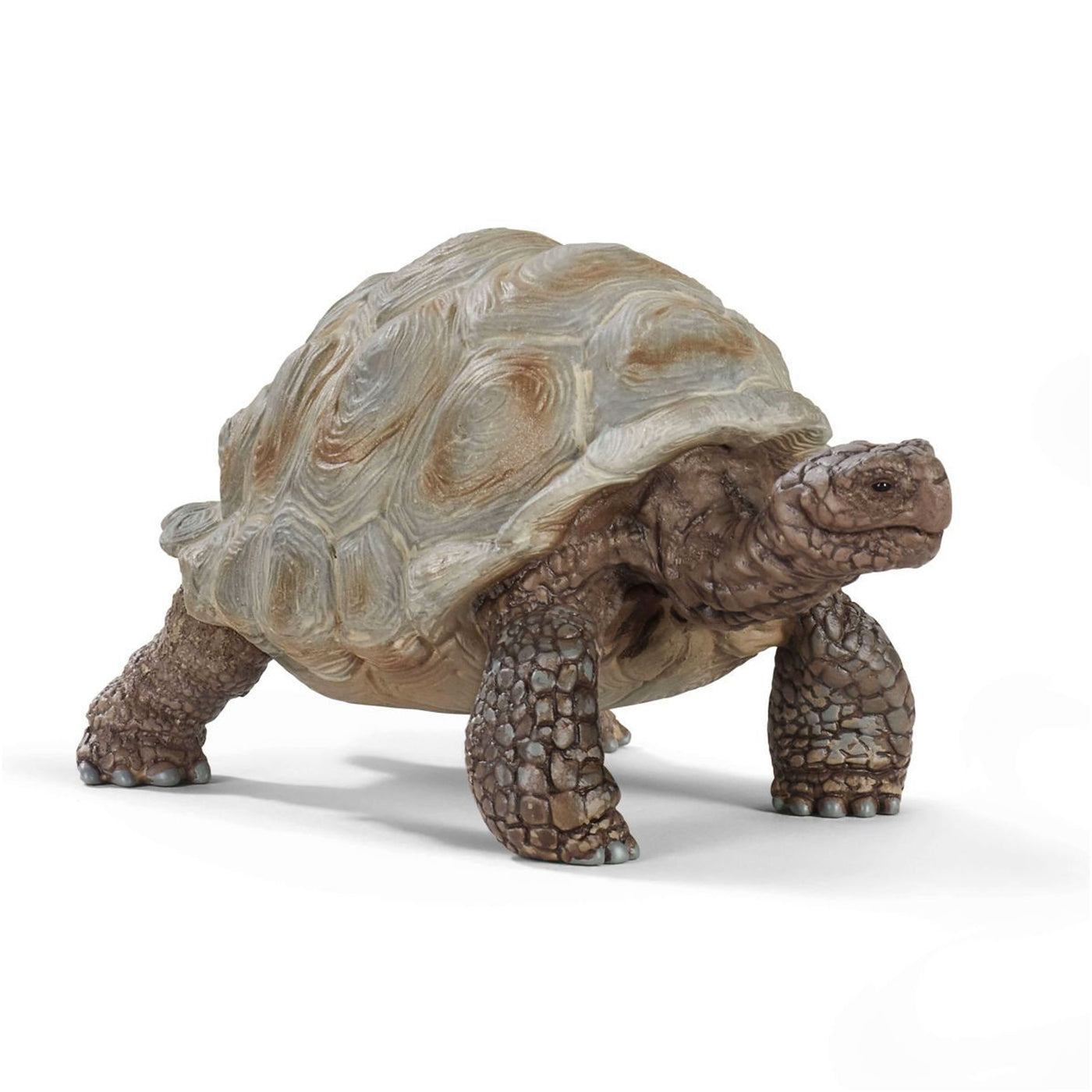 Schleich Wild Life Giant Tortoise Toy Figurine