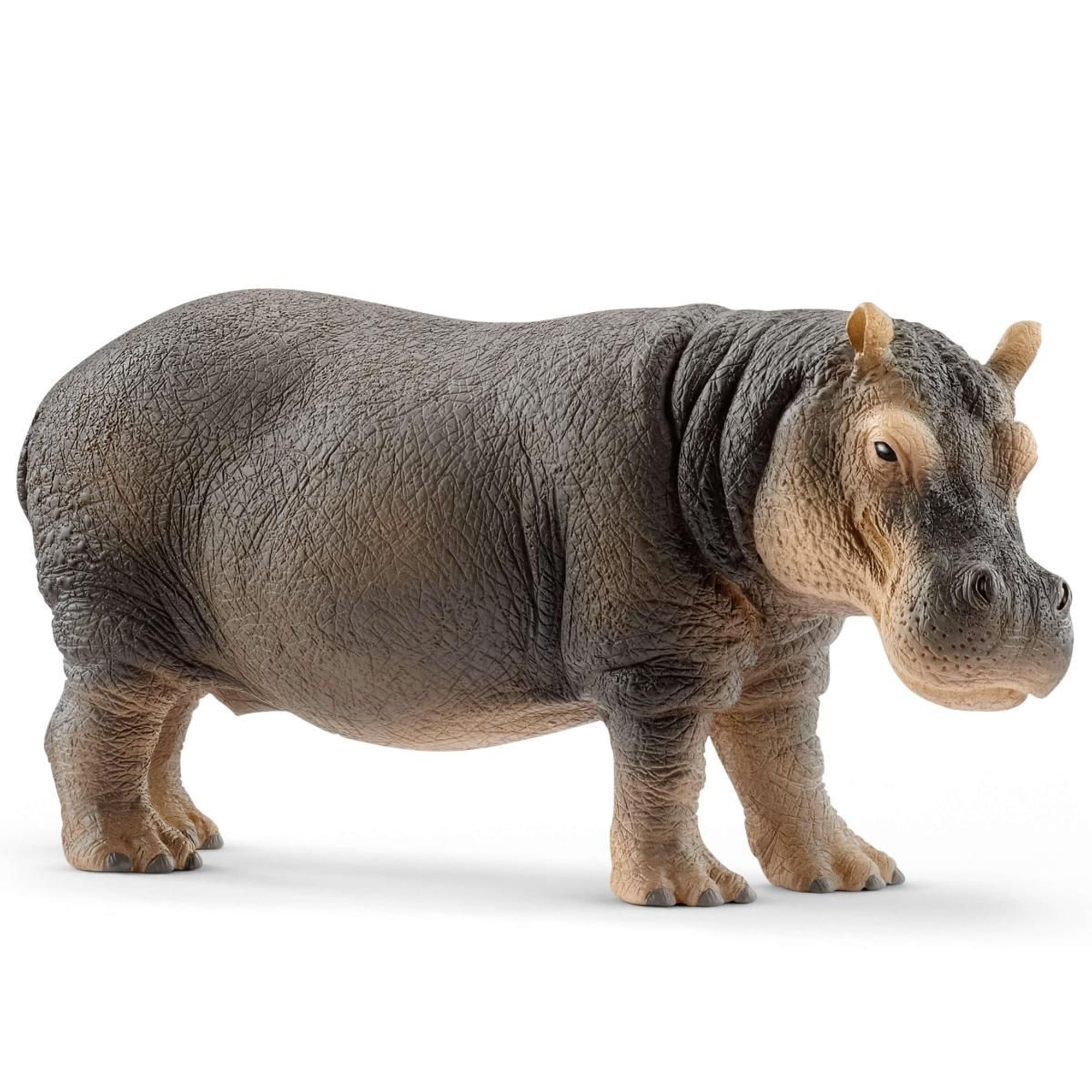 Schleich Wild Life Hippopotamus Toy Figurine