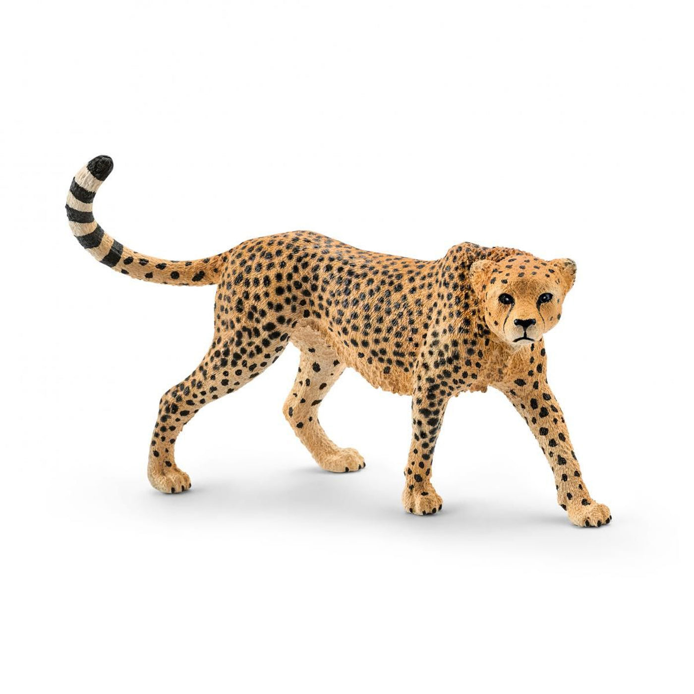 Schleich Wild Life Female Cheetah Toy Figurine